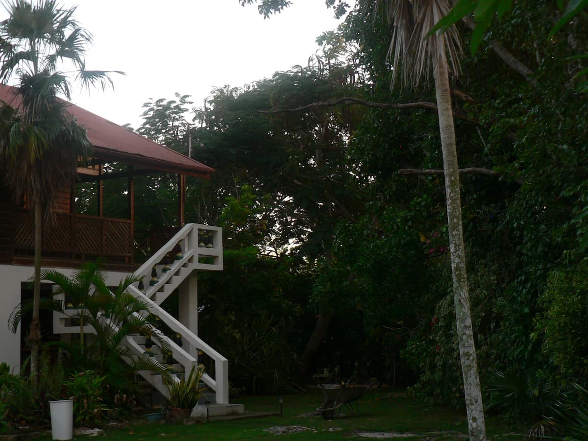 The Big House at Truestay Jamaica