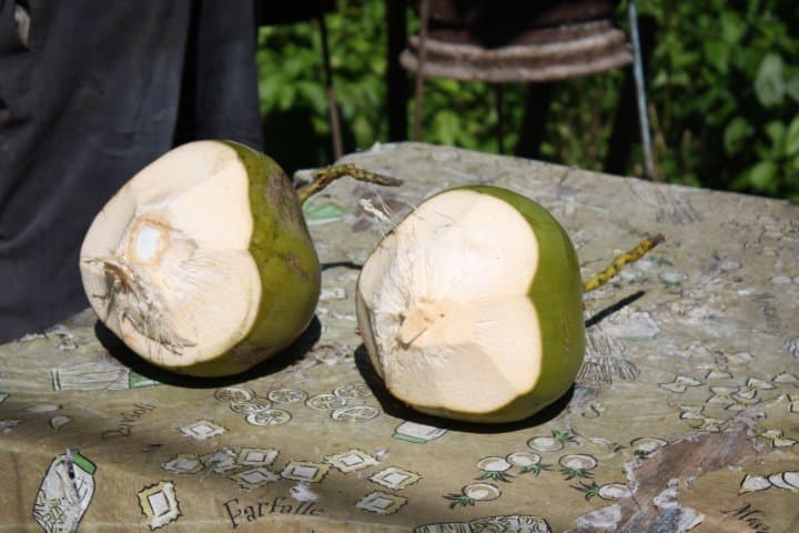 Jelly coconut