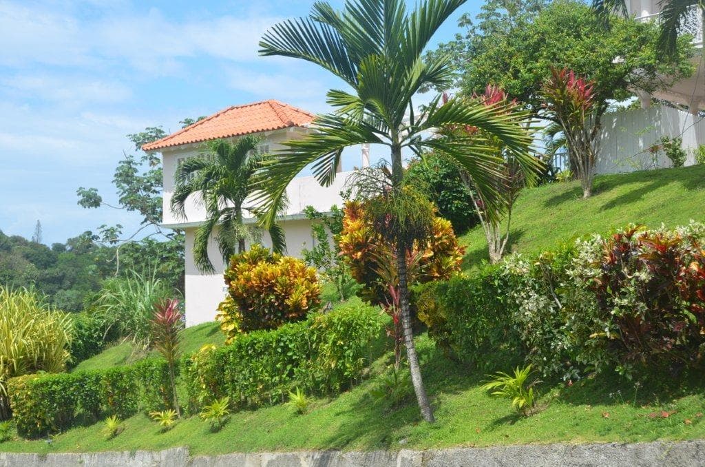 Surroundings