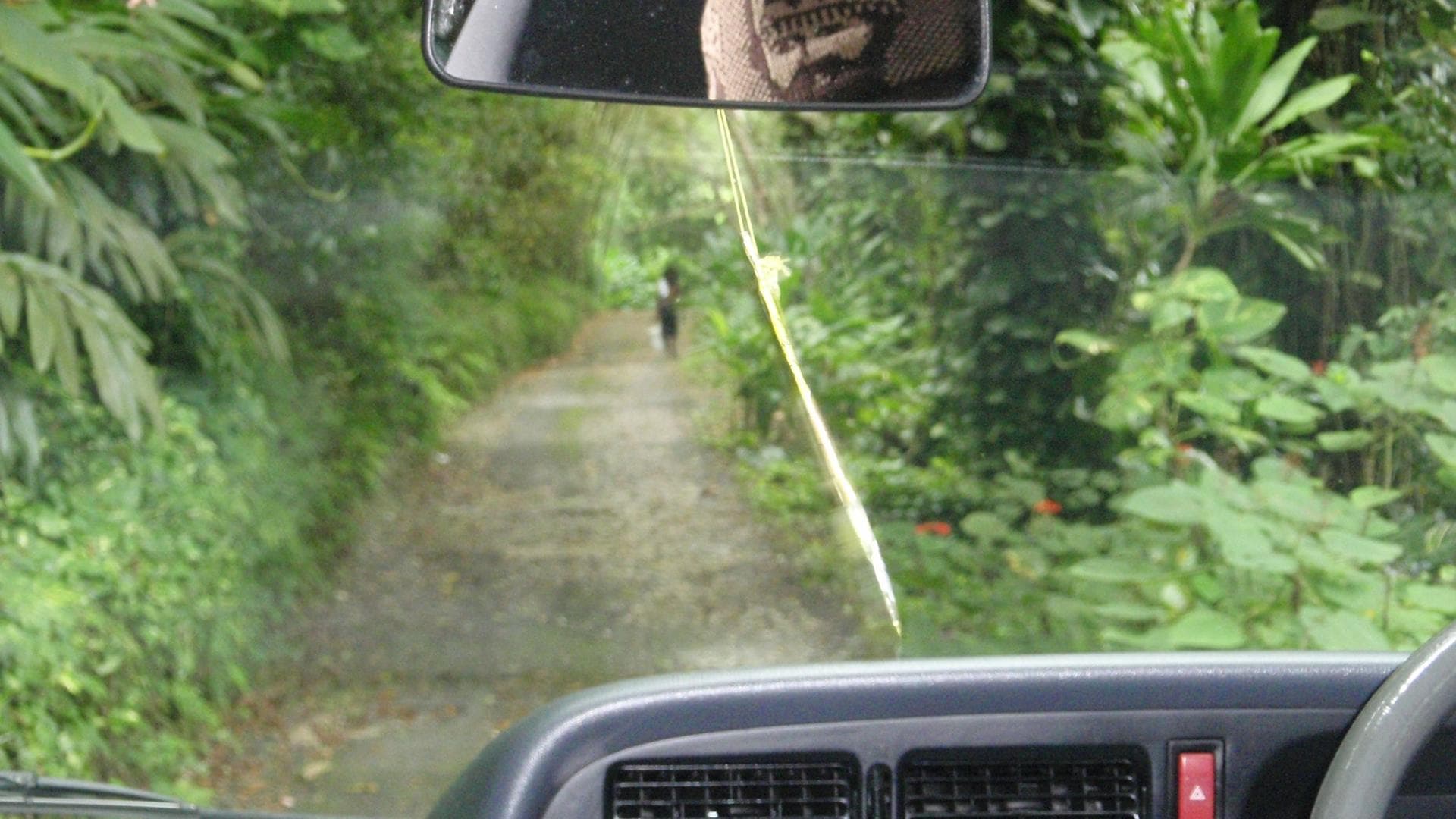 In Van driving up