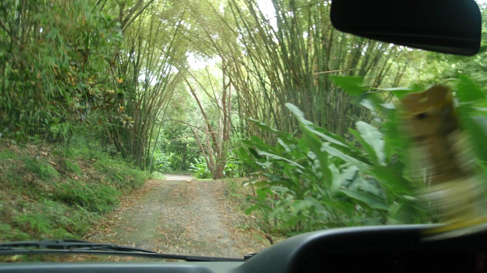 Long Road driving up to property