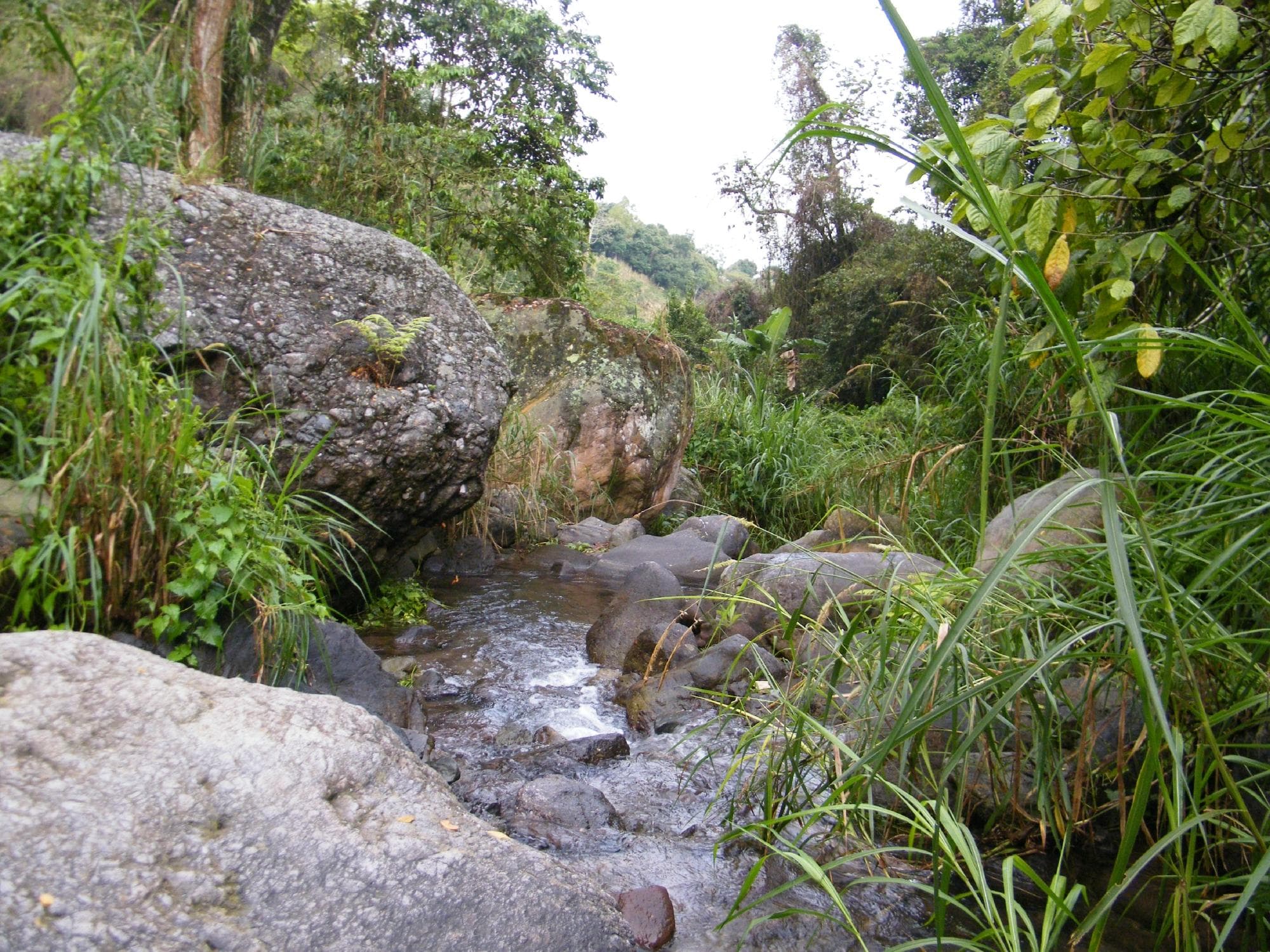 gordon trail