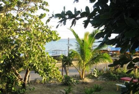 View from the Veranda