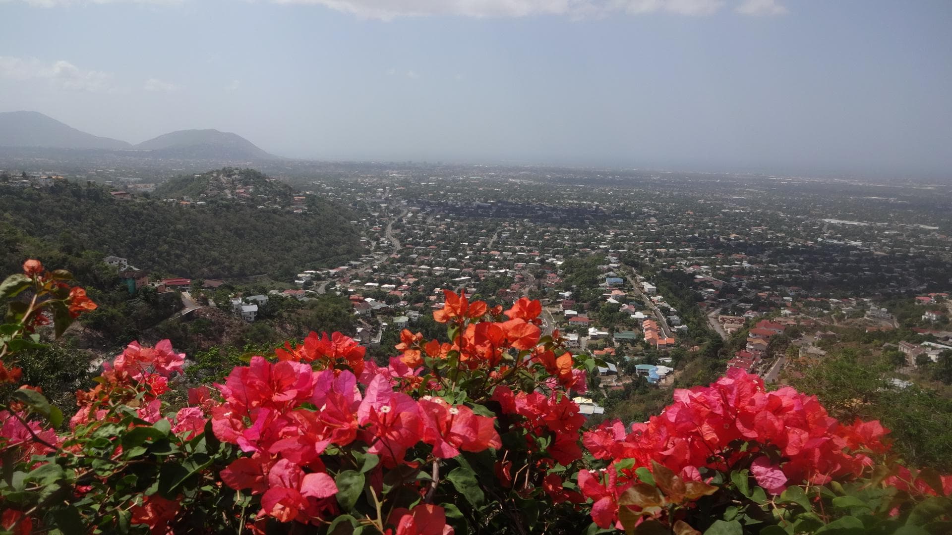 view in the morning