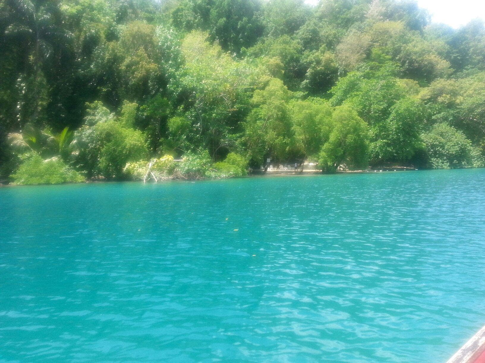 Damion Jamaica Tours - Day Tours