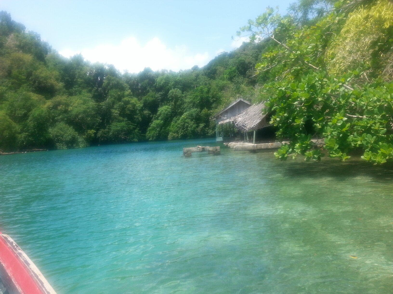 Damion Jamaica Tours - Day Tours