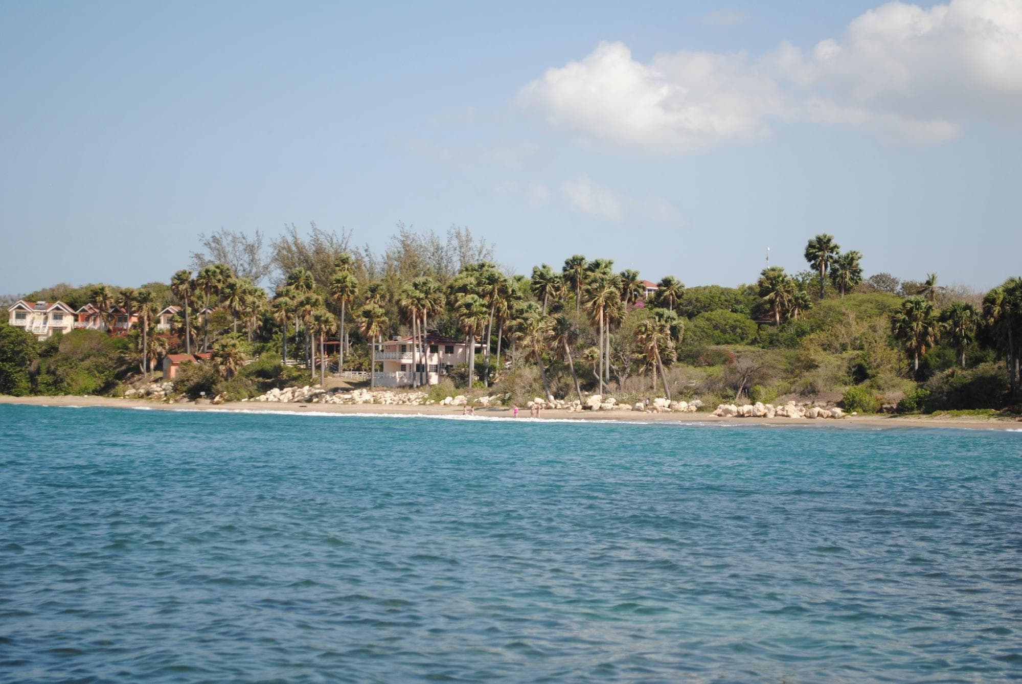Buttonwood JA - Tours at TripAdvisor