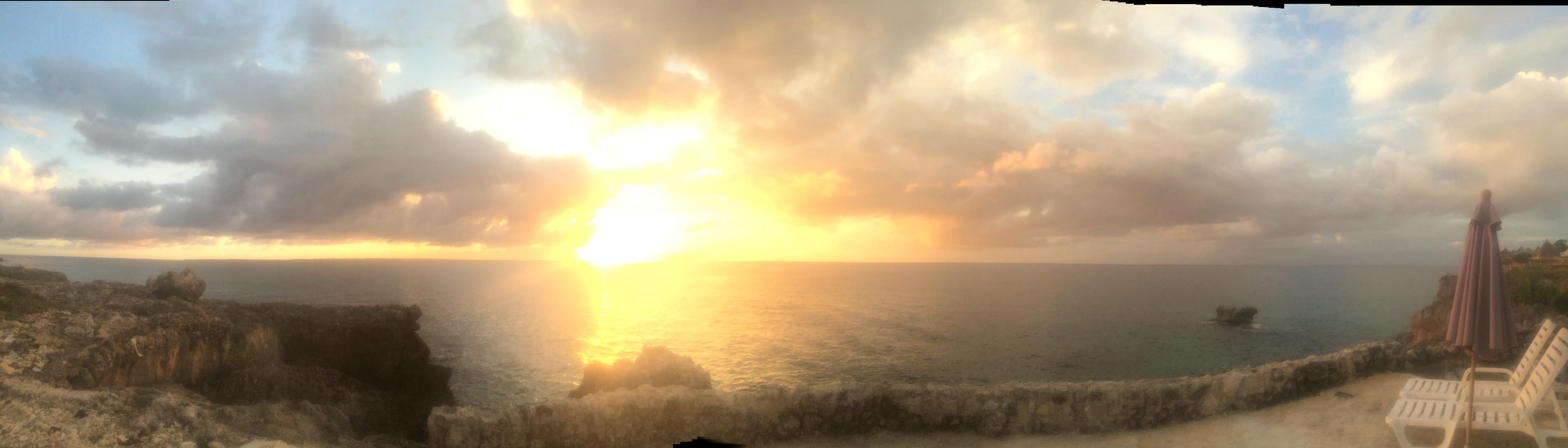The view