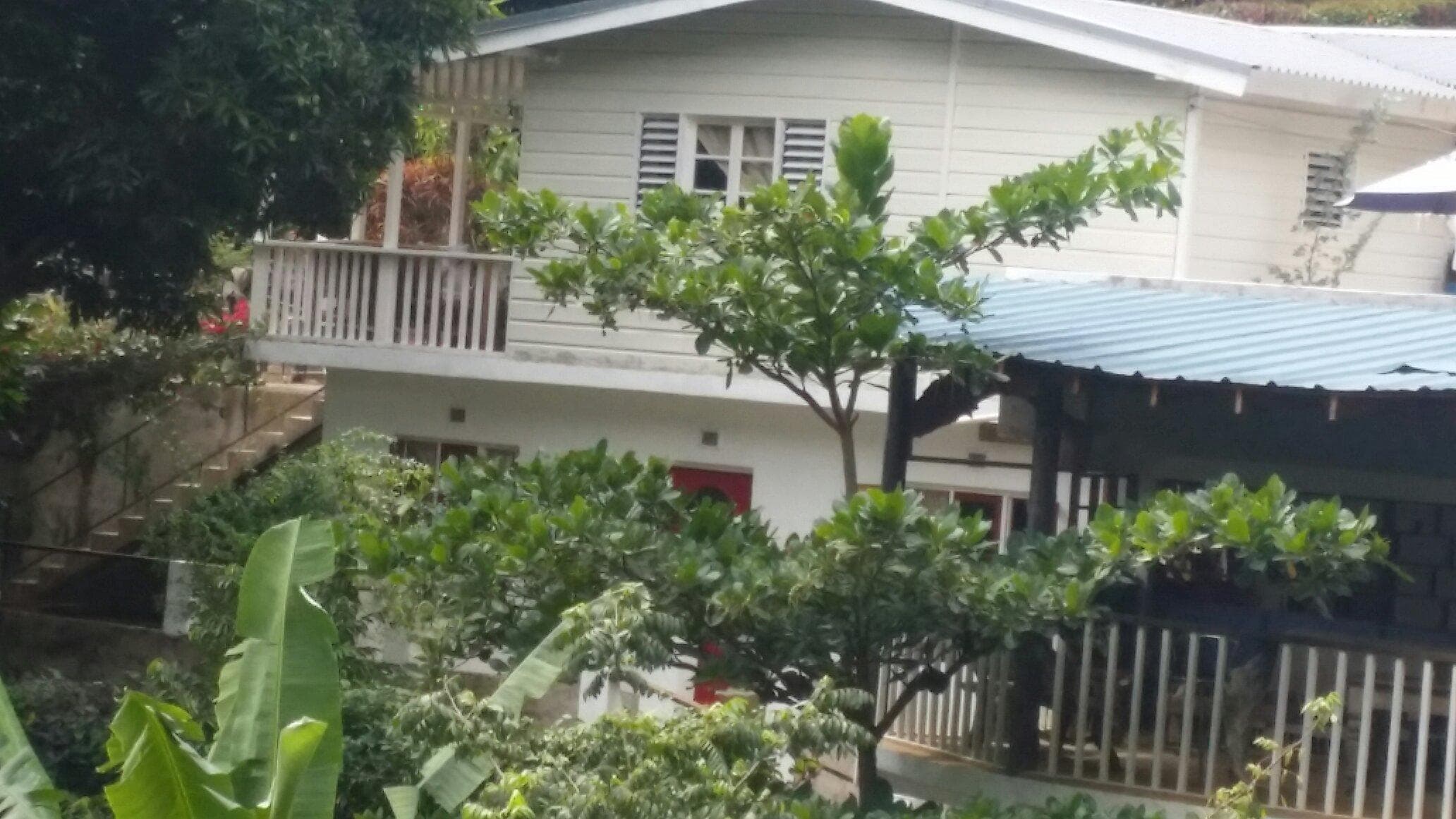 Views from bluemountview guest house