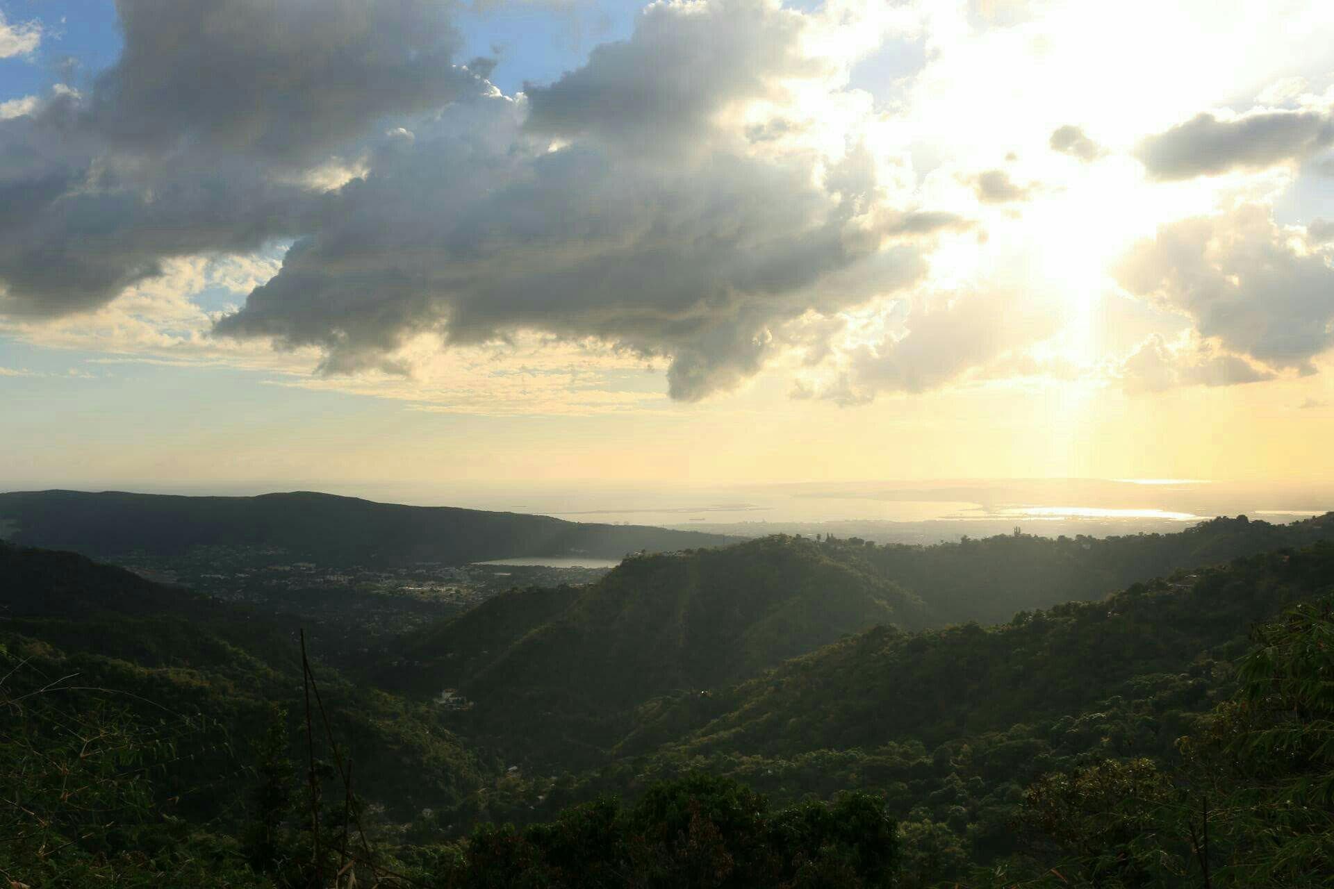 Views from bluemountview guest house