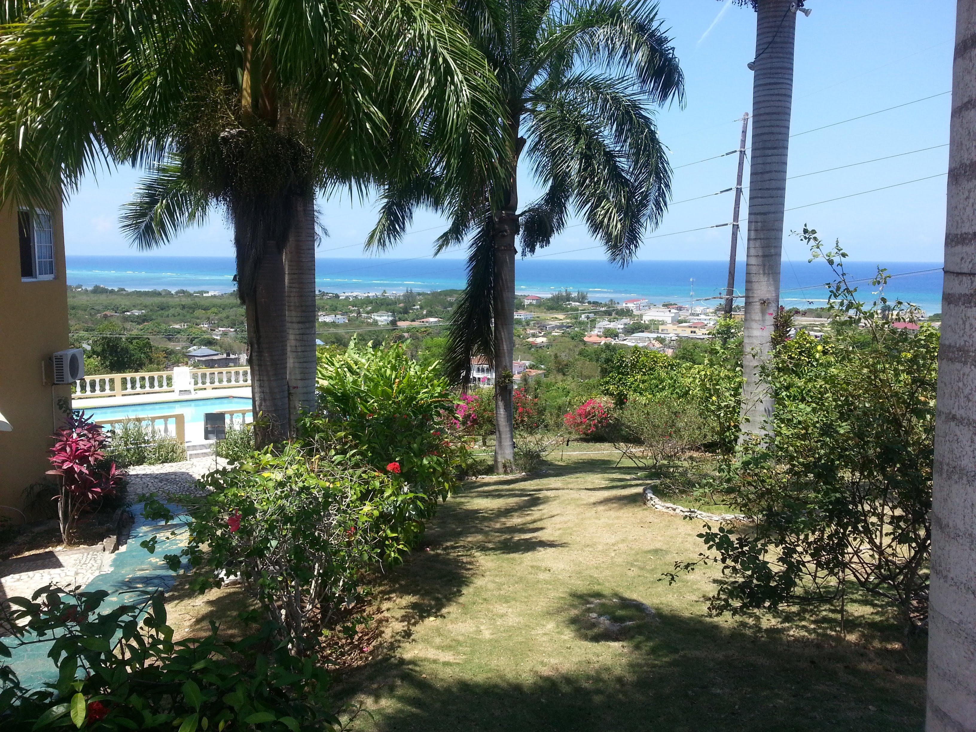 garden