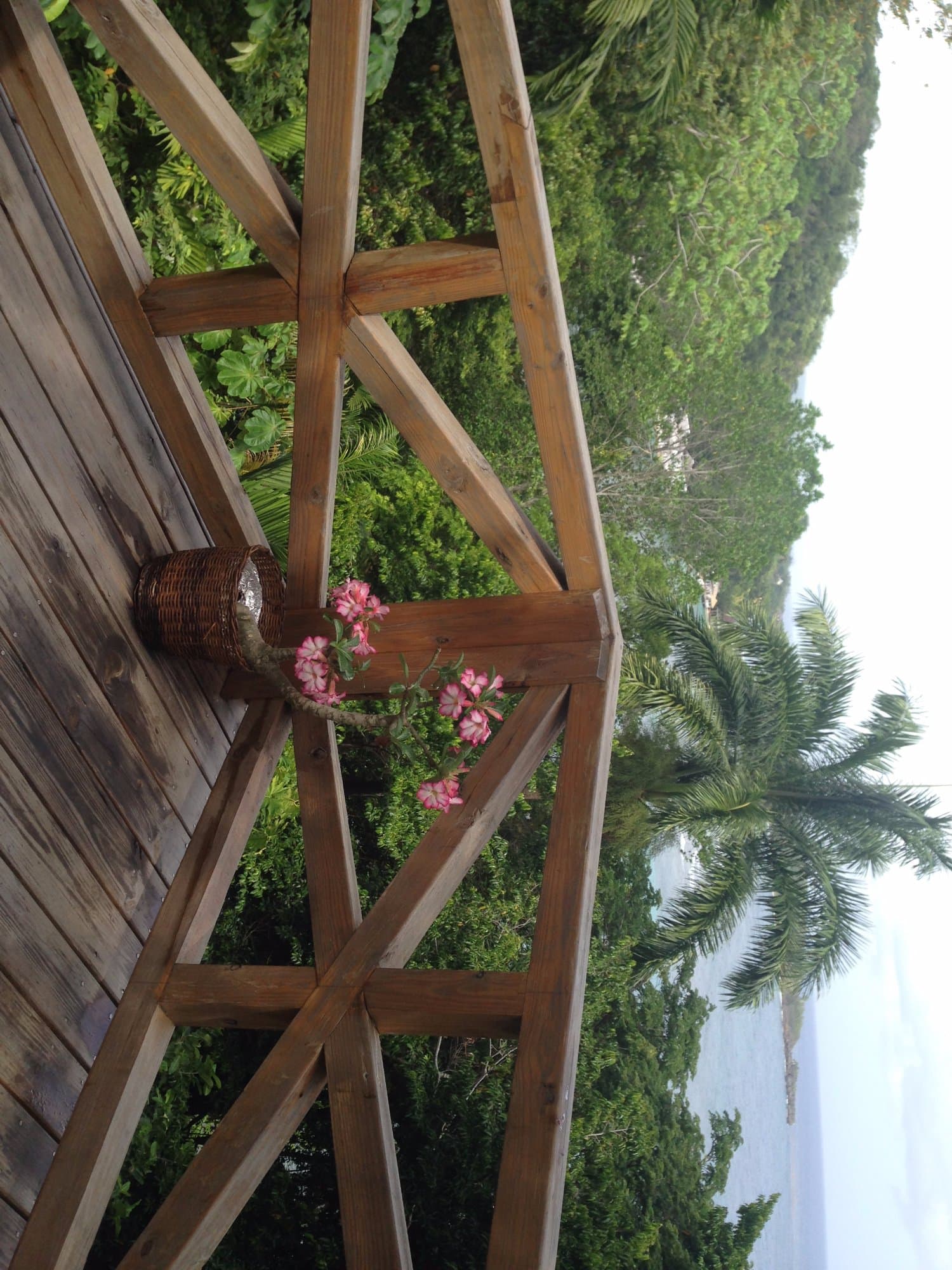 The breakfast view