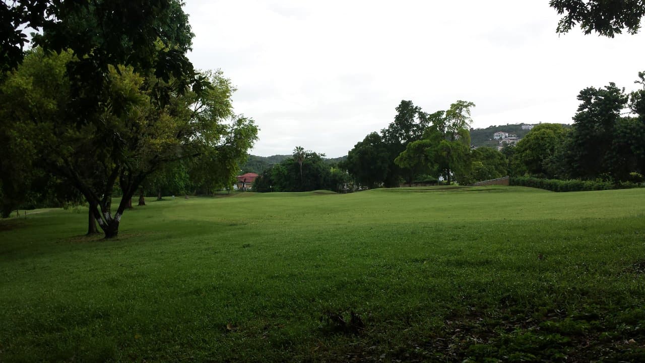 Back Nine