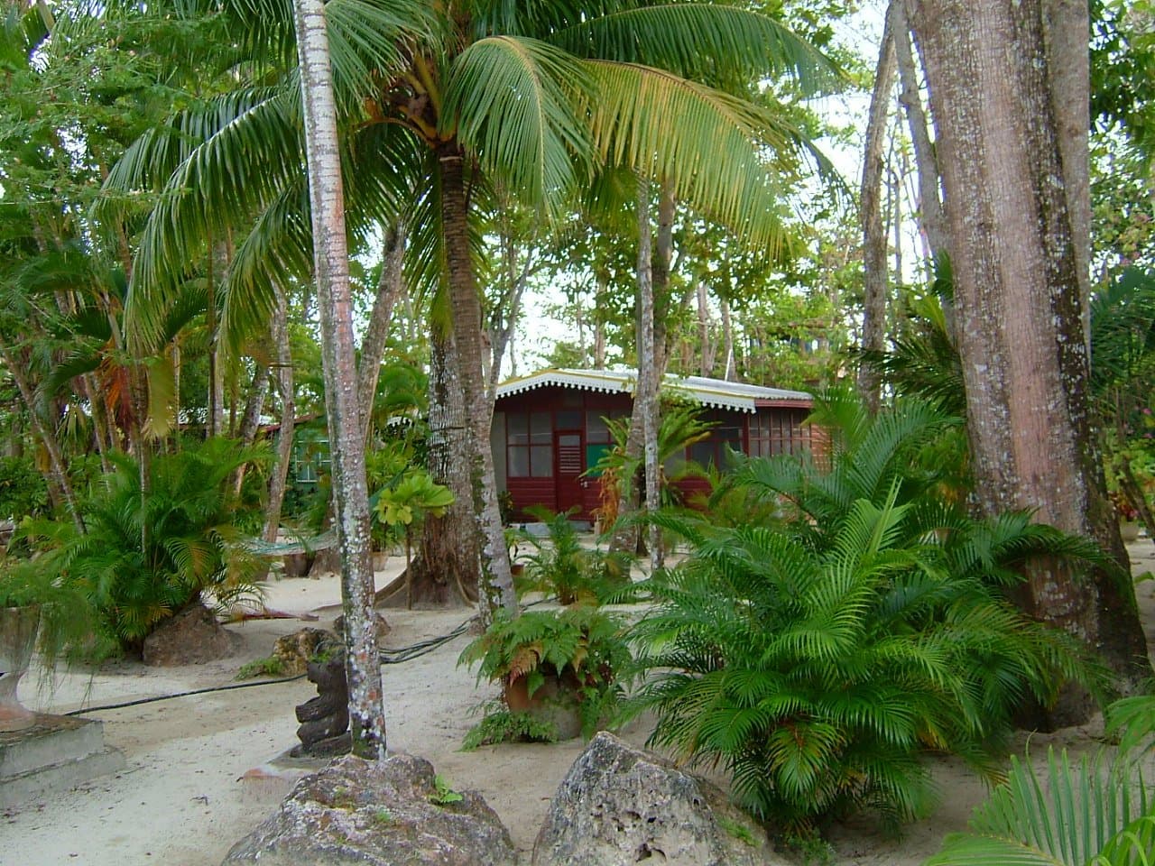 Nirvana on the Beach at TripAdvisor