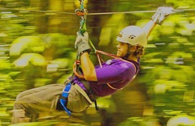 Zipline through the forest.