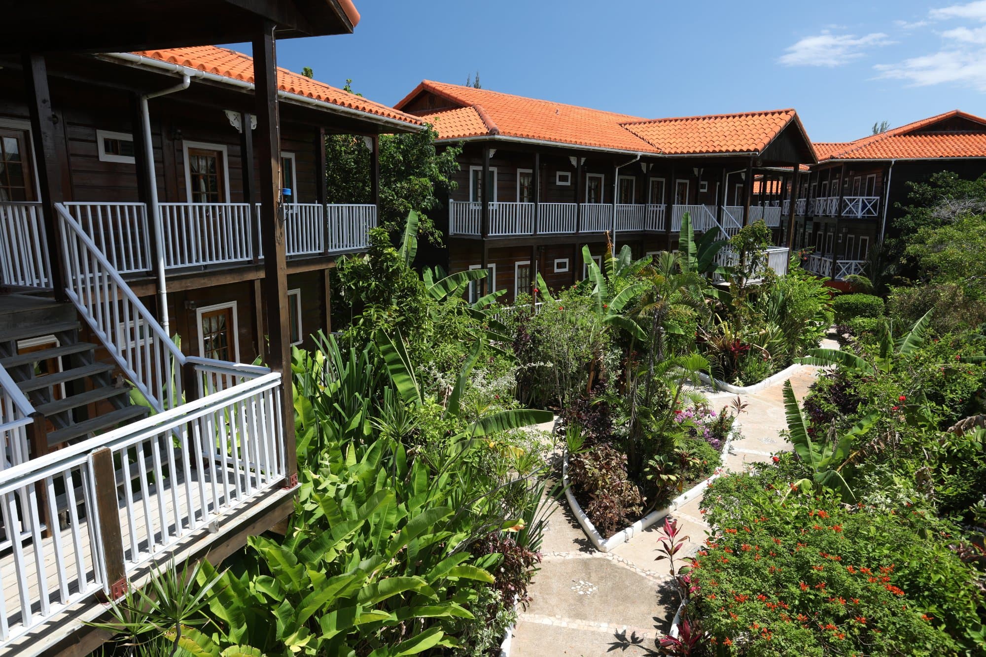Mangos Jamaica at TripAdvisor