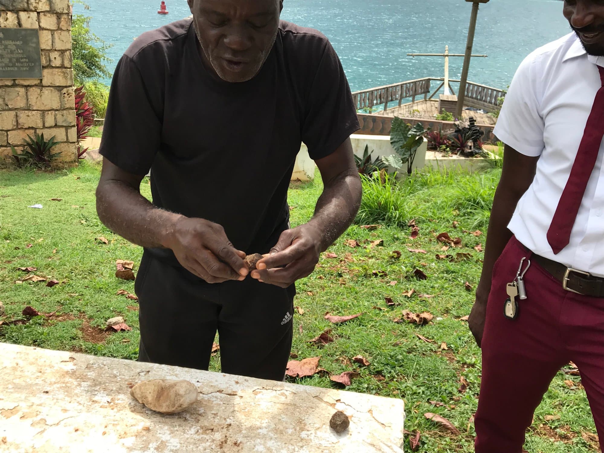 Fresh Almonds (Where Christopher Columbus landed in Jamacia)