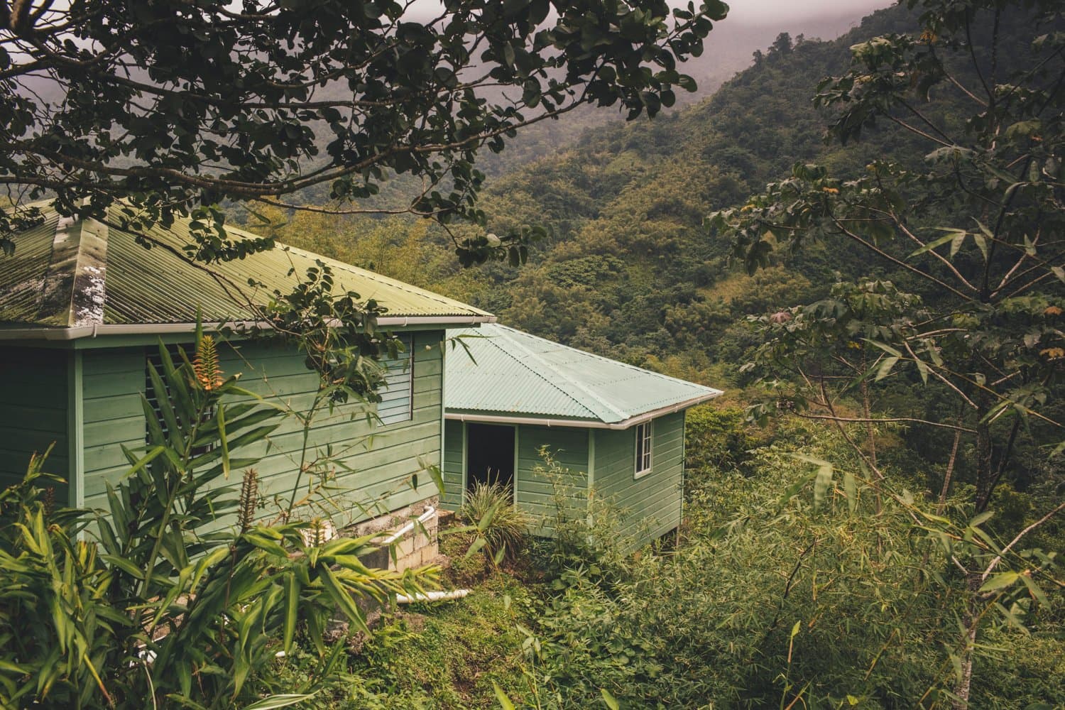 Exterior views of Ambassabeth's cabins with Blue and John Crow National Park and World Heritage Site view