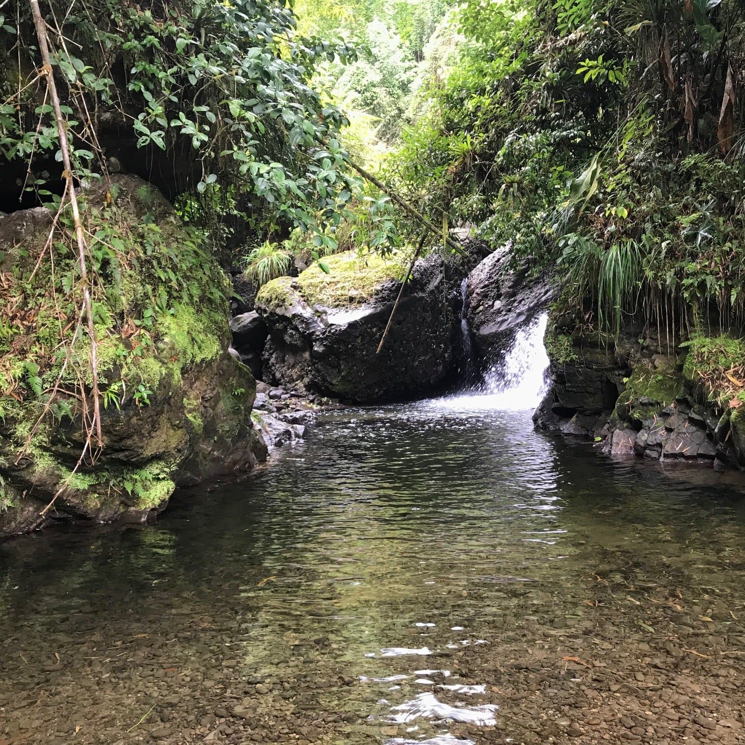One of the many waterfalls on Ambassabeth Cabins' trails.