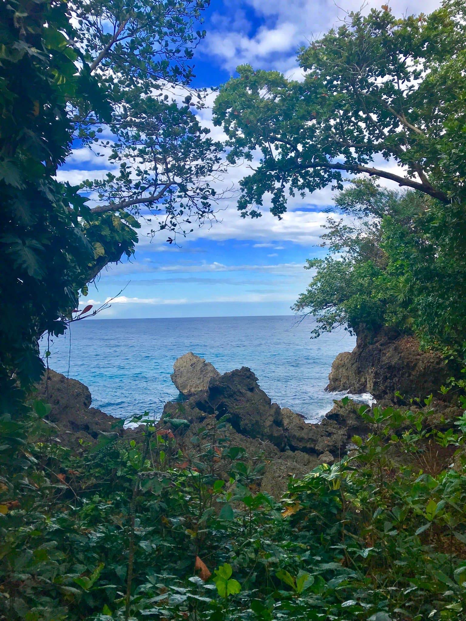 View from Villa 3