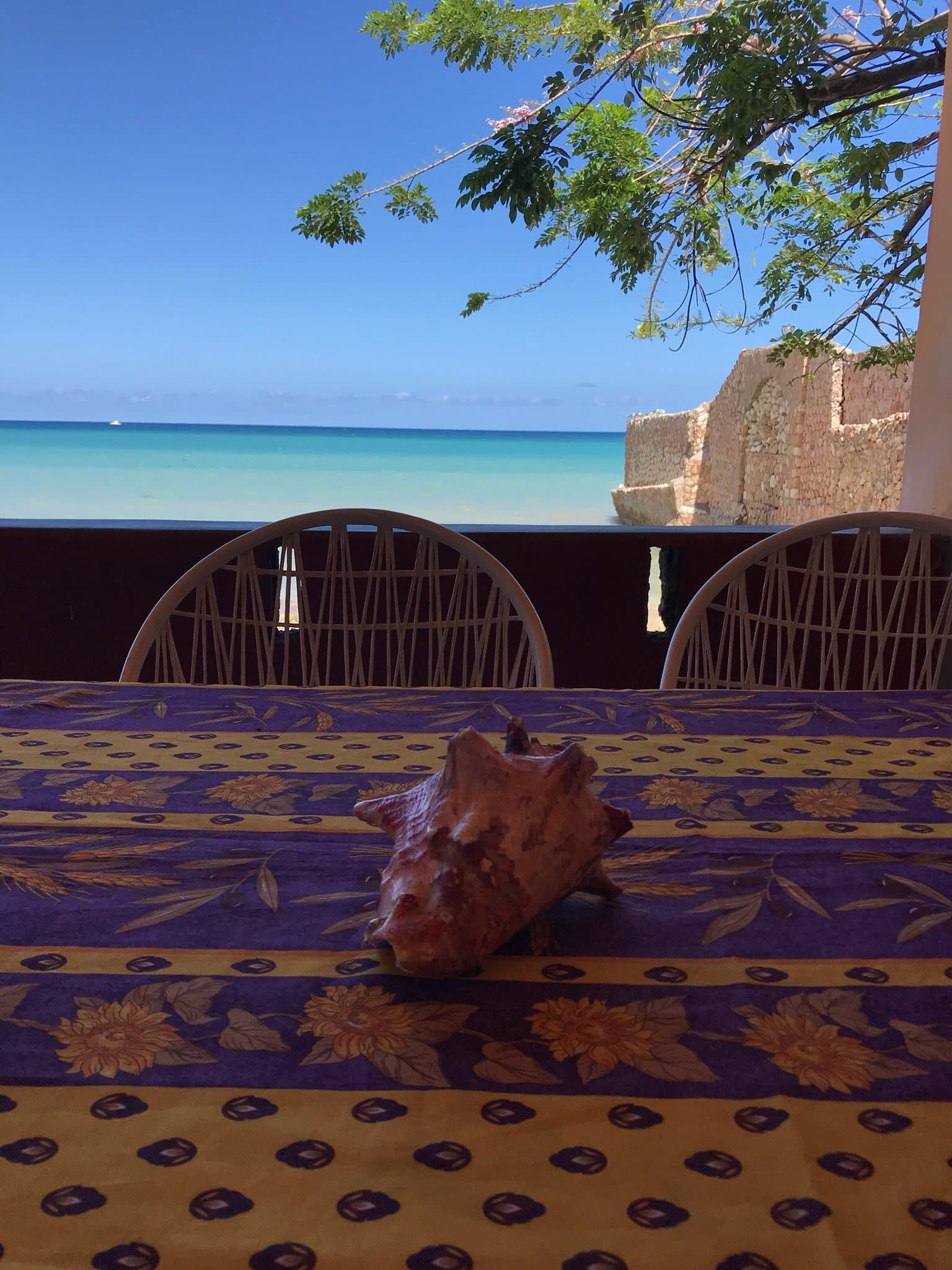 Evelin’s On The Beach at TripAdvisor