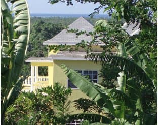 Pura Vida Jamaica at TripAdvisor