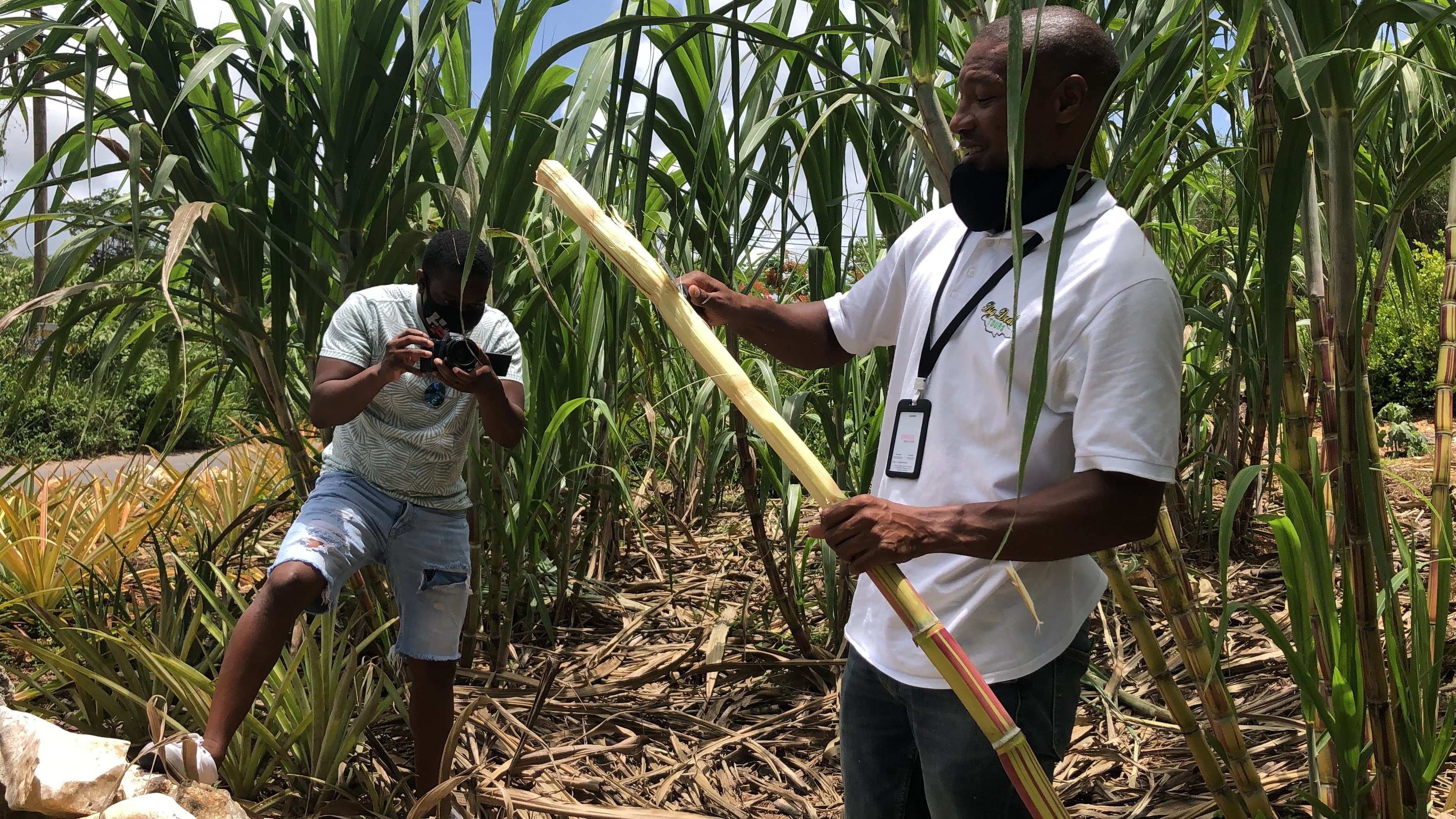 Ryan allowed us to taste some authentic sugar cane from his backyard.