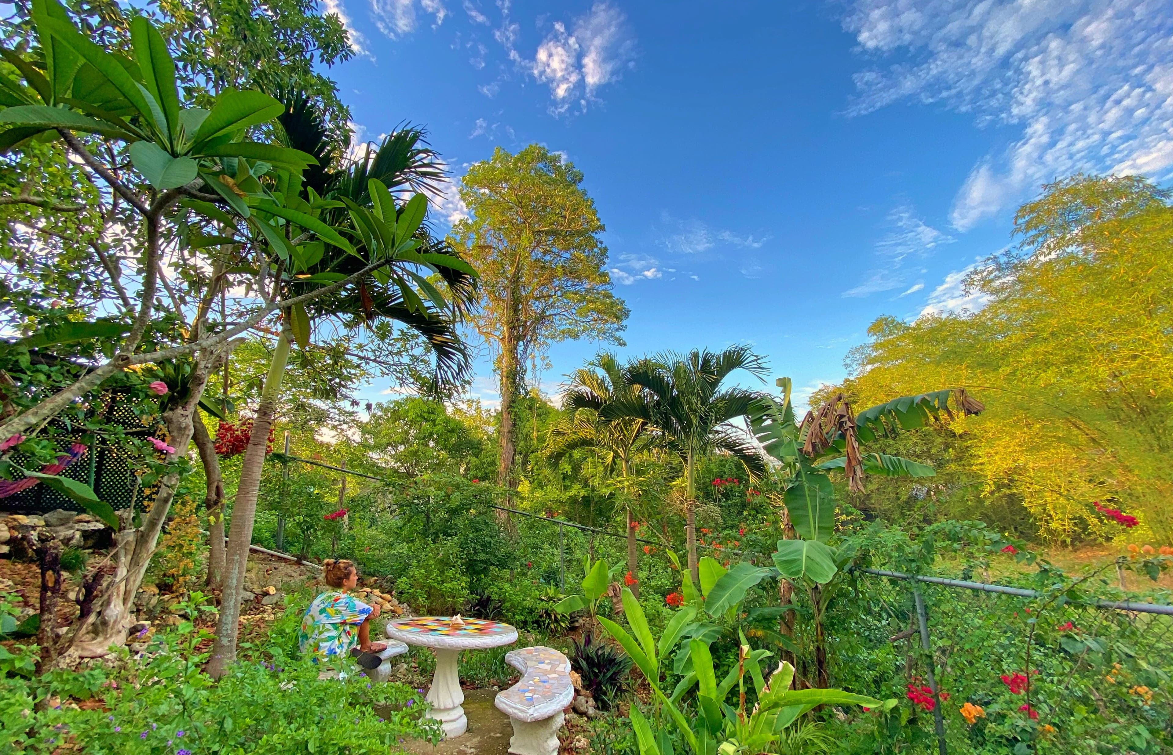 Judy House Negril at TripAdvisor
