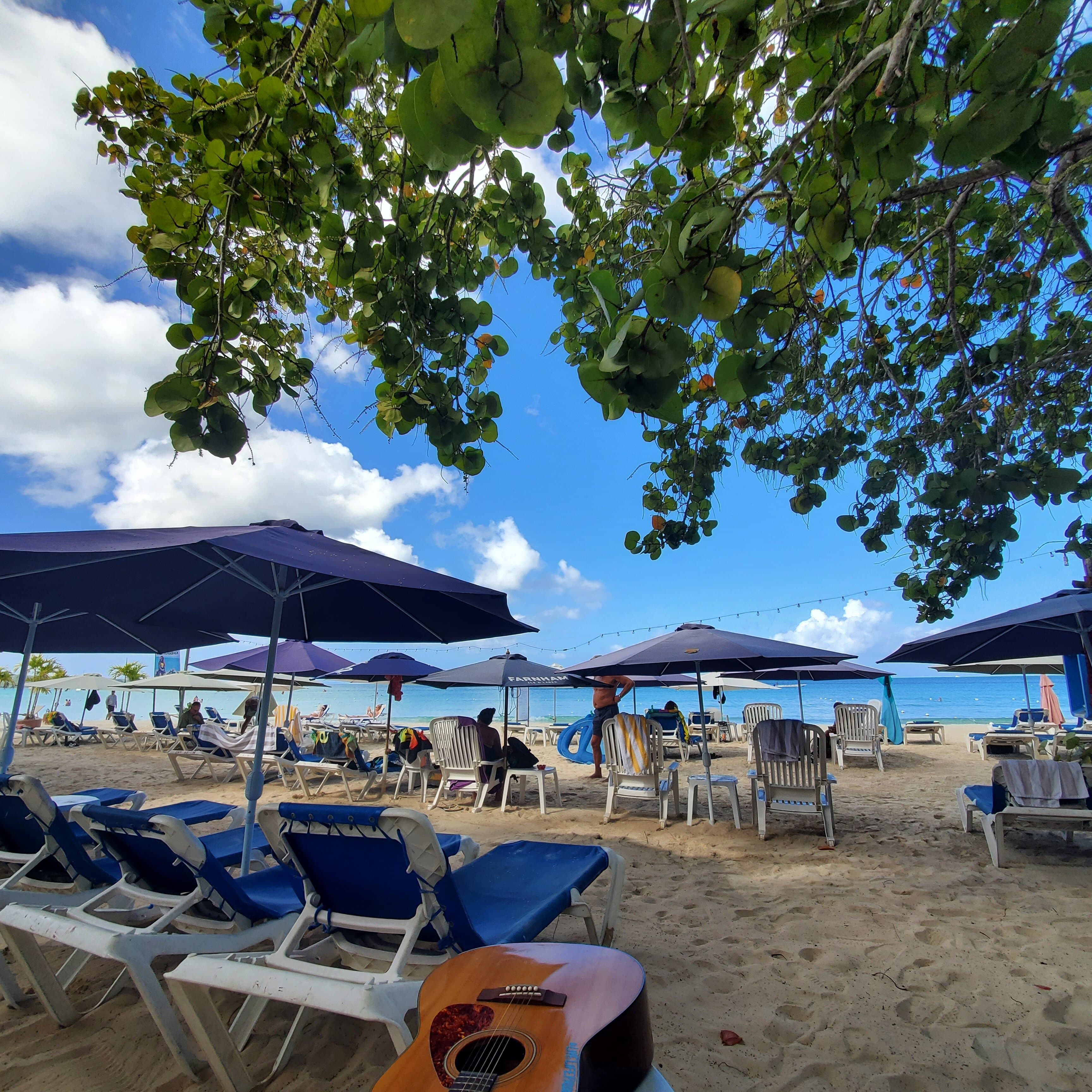 Paradise!?!?