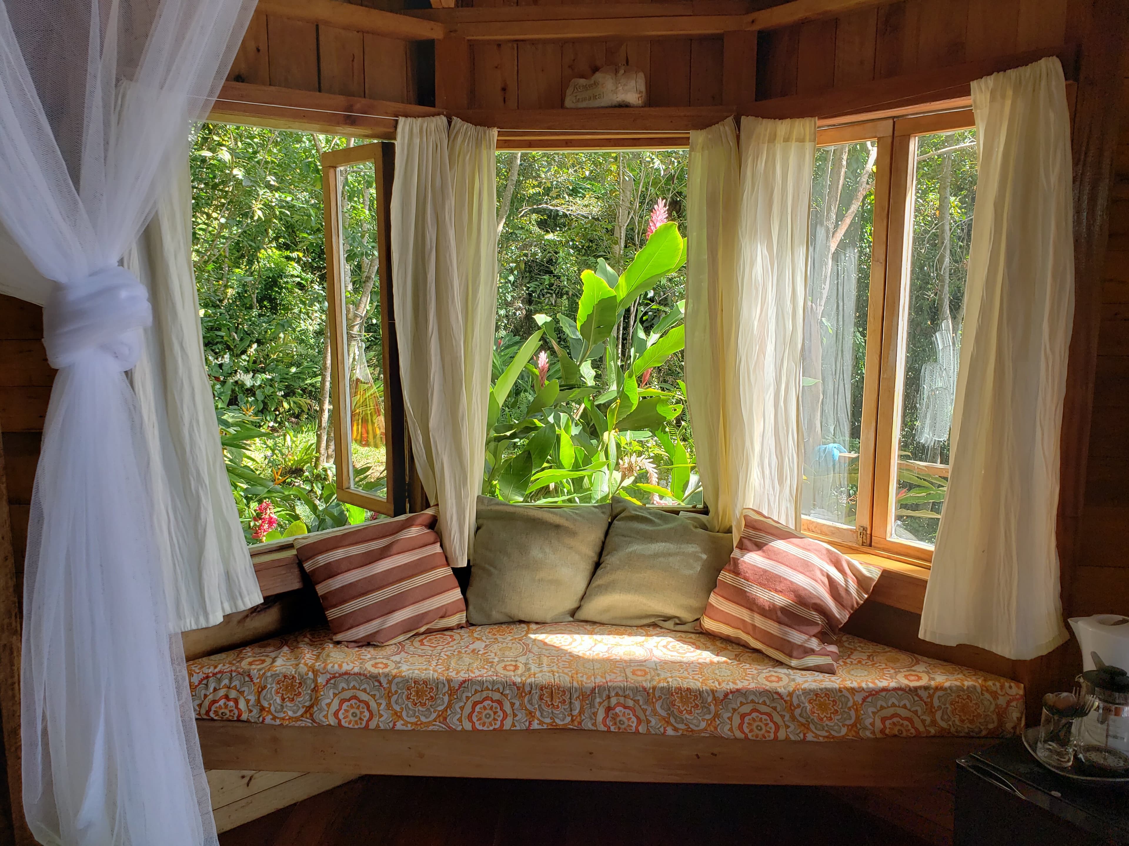 Our Bay window seat looking out in the natural  garden.