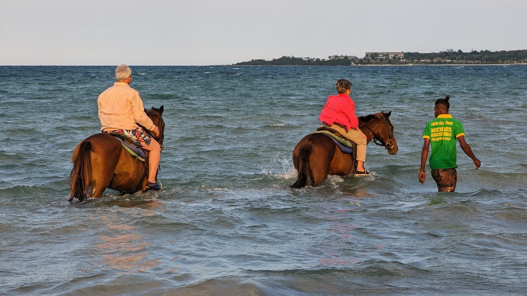 DT's Jamaica Tours and Taxi Service at TripAdvisor