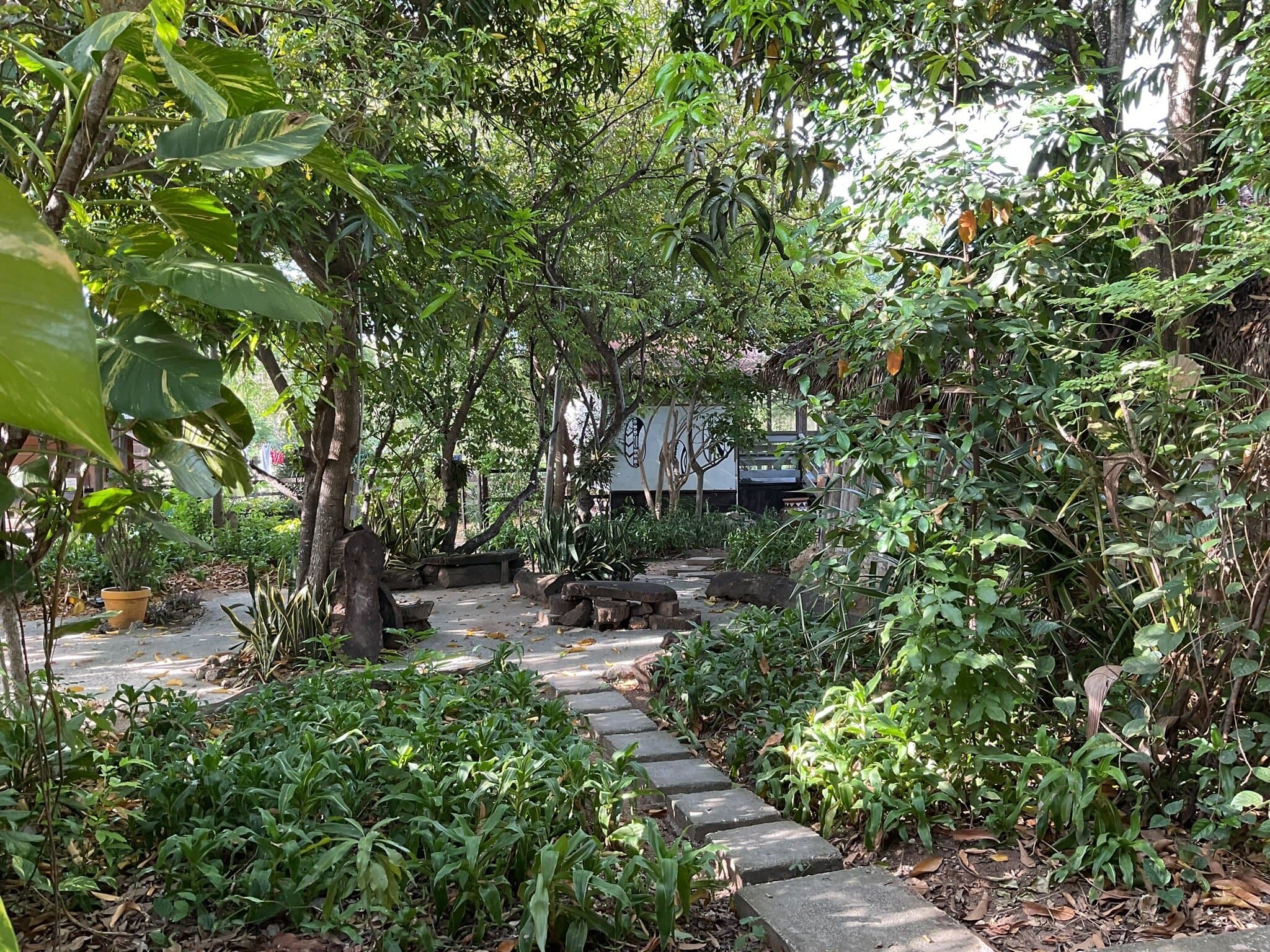 ℹ extended my stay by 2 weeks at this villa. It was a referral that paid off nicely. There was no TV/AC in my cabin but was definitively not needed. The cool and peaceful nights were a plus and when to hot the beach was in walking distance. Between Skip, Jayne, Marley, Zack and Netti, my experience was awakened from the good food, herbs 🌿, music 🎶, and exploring the island 🏝️. I will definitely be back and would recommend this place for a short or extended stay.