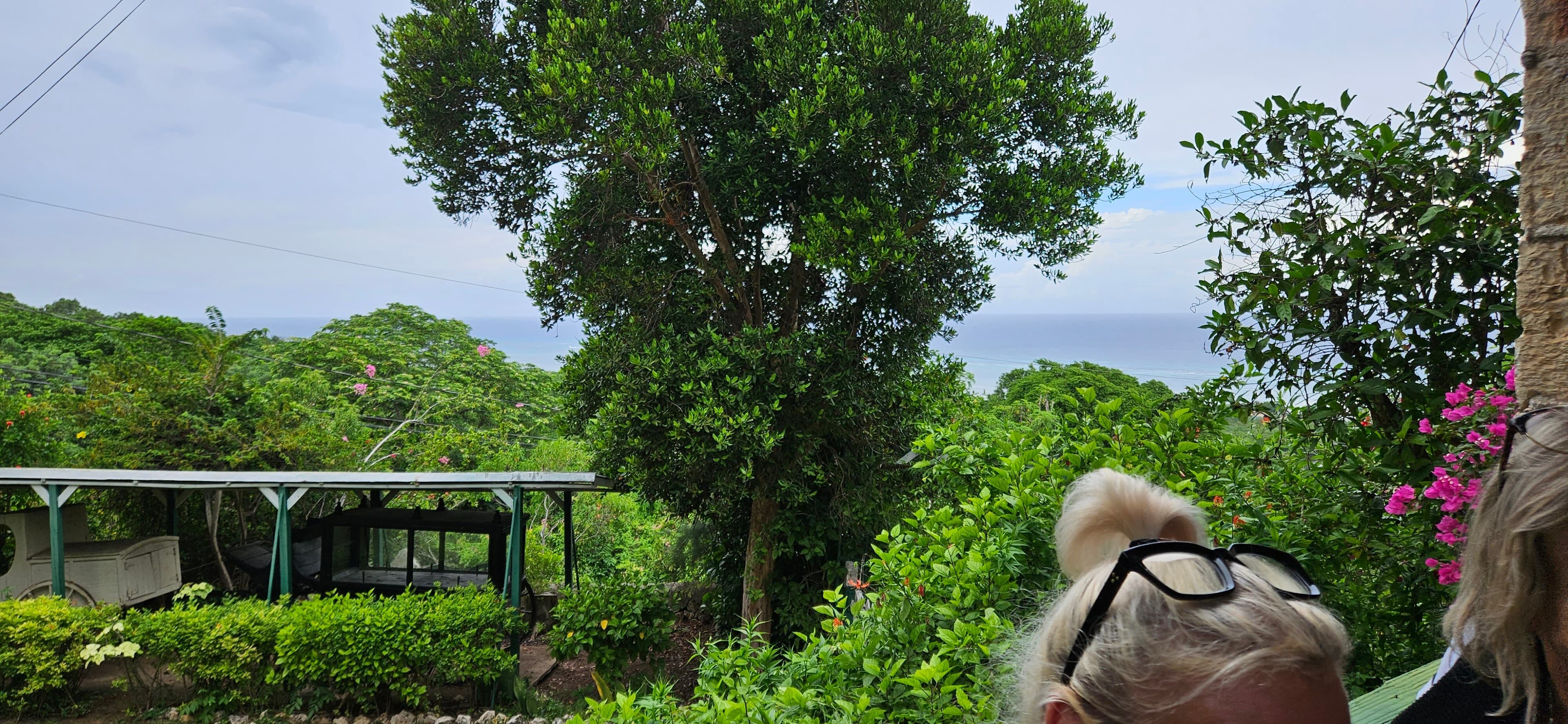 A heartbeat of Jamaica - Discover Falmouth at TripAdvisor
