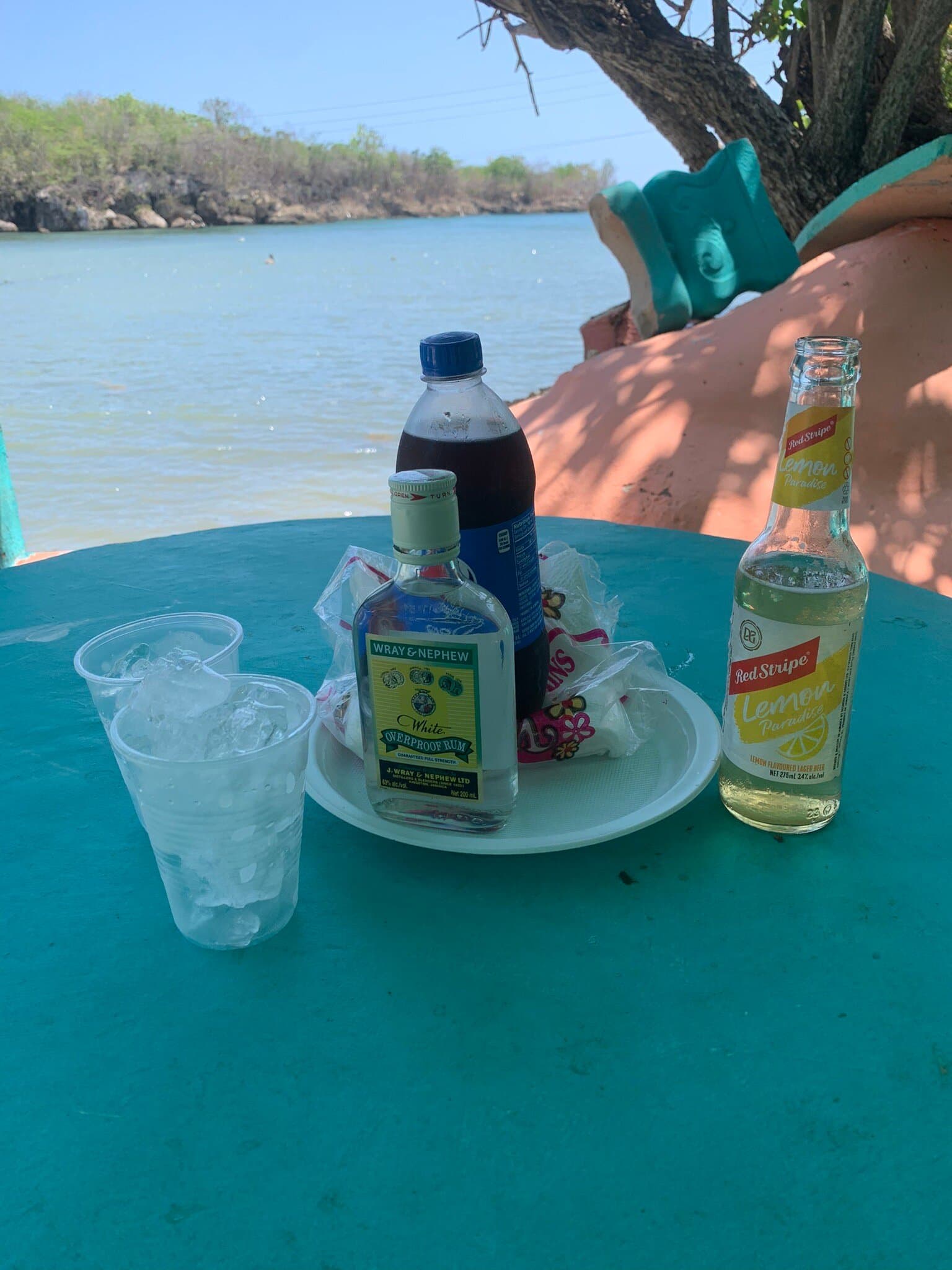 Day trip to the fishing village at boarder westmoreland. You get to choose the fresh catch fish of the day from the fishermen and having a cold red stripe while your fish is being fried , steam roast, curry etc.