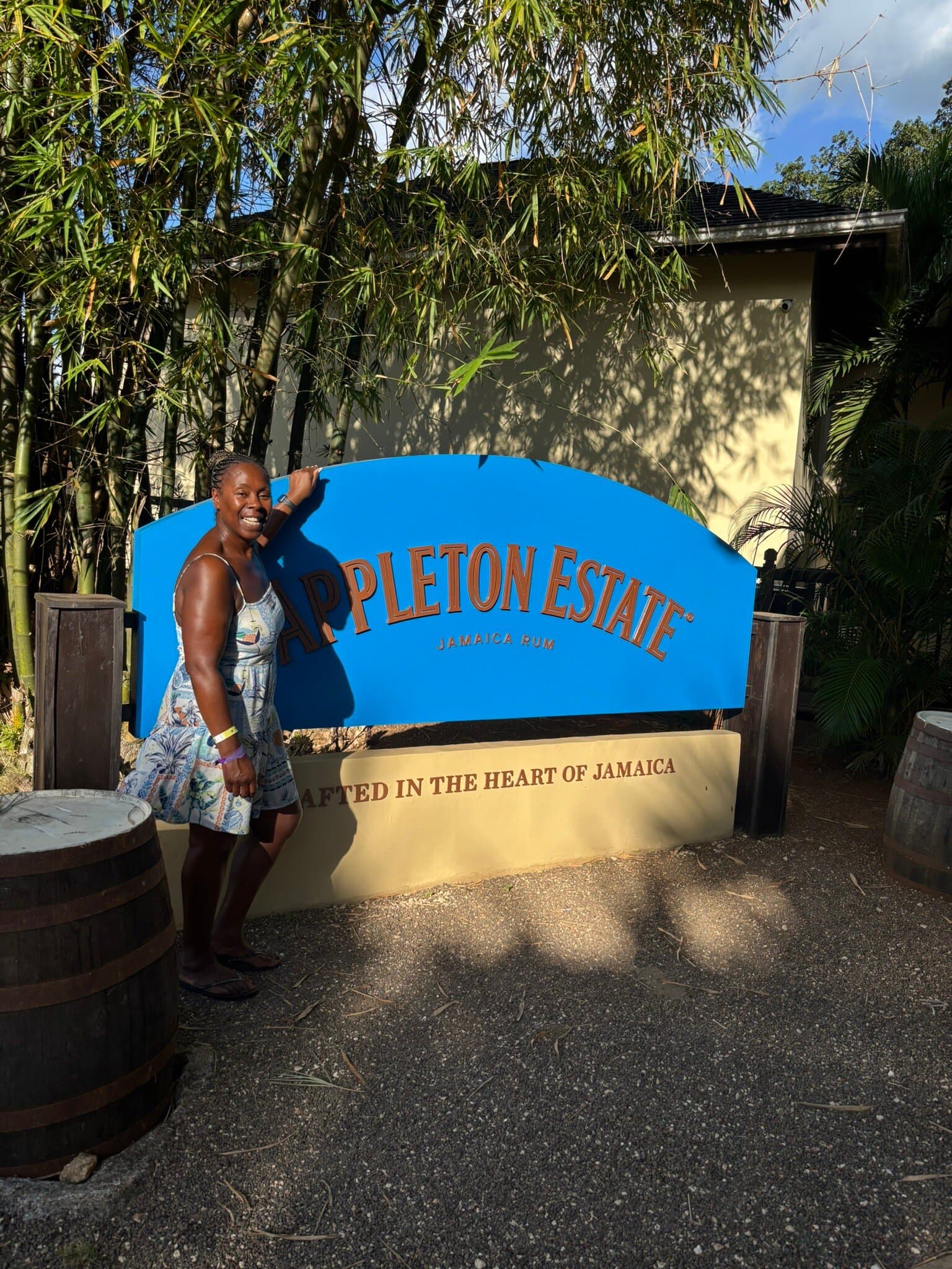 DToursJamaica at TripAdvisor
