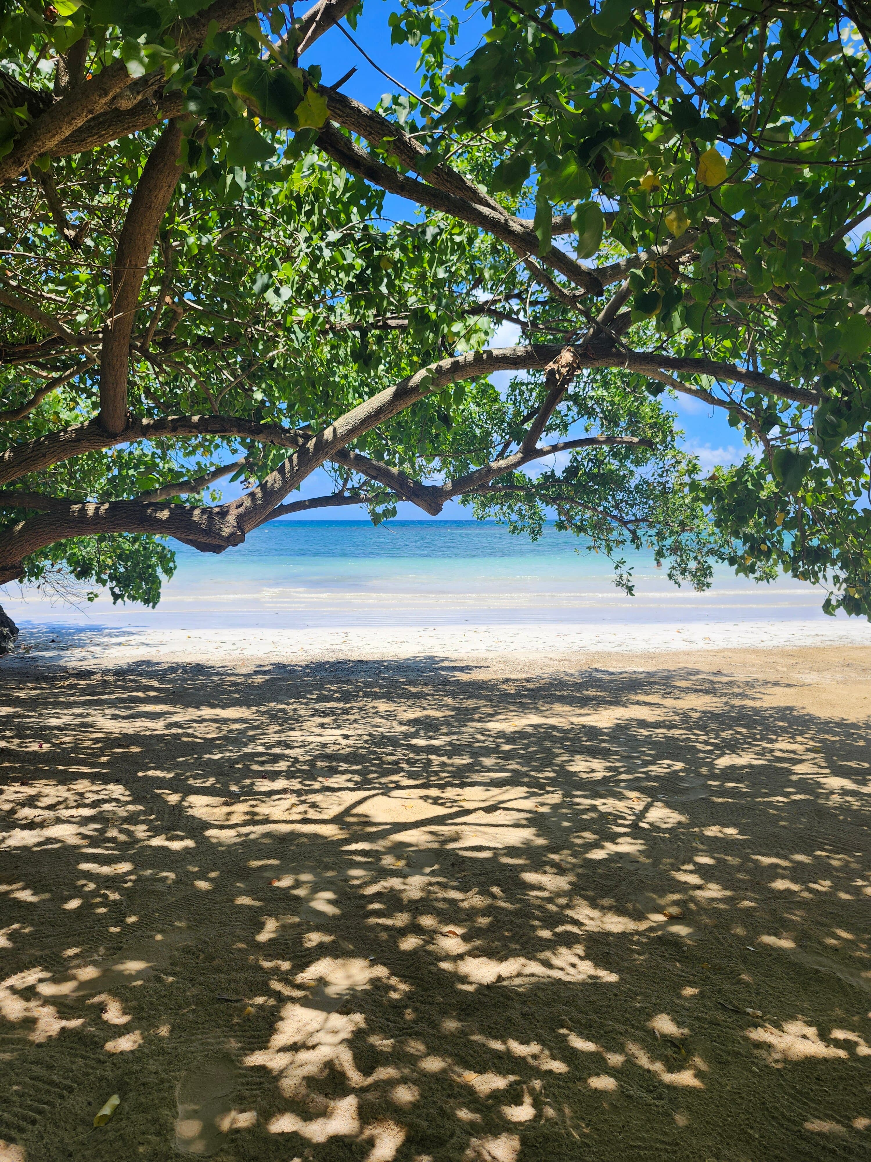 Your Jamaica Tours at TripAdvisor