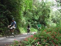 Blue Mountain Bicycle Tours