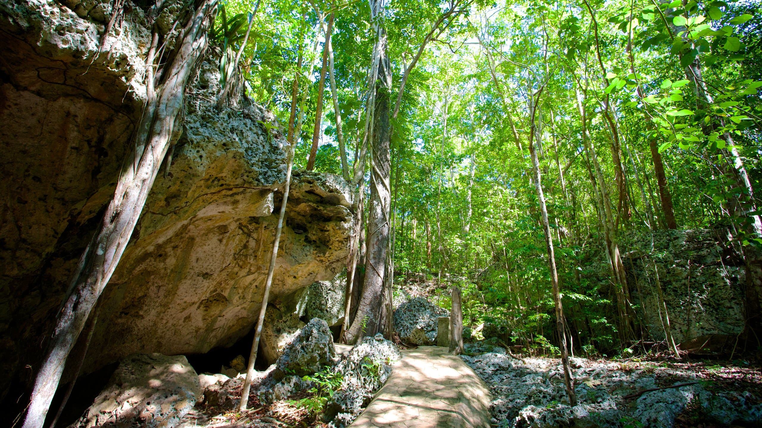 Outside Green Grotto Caves