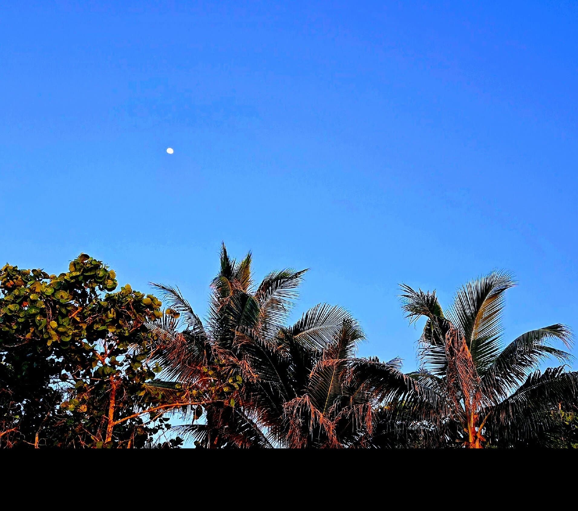 Real Jamaican Cottages