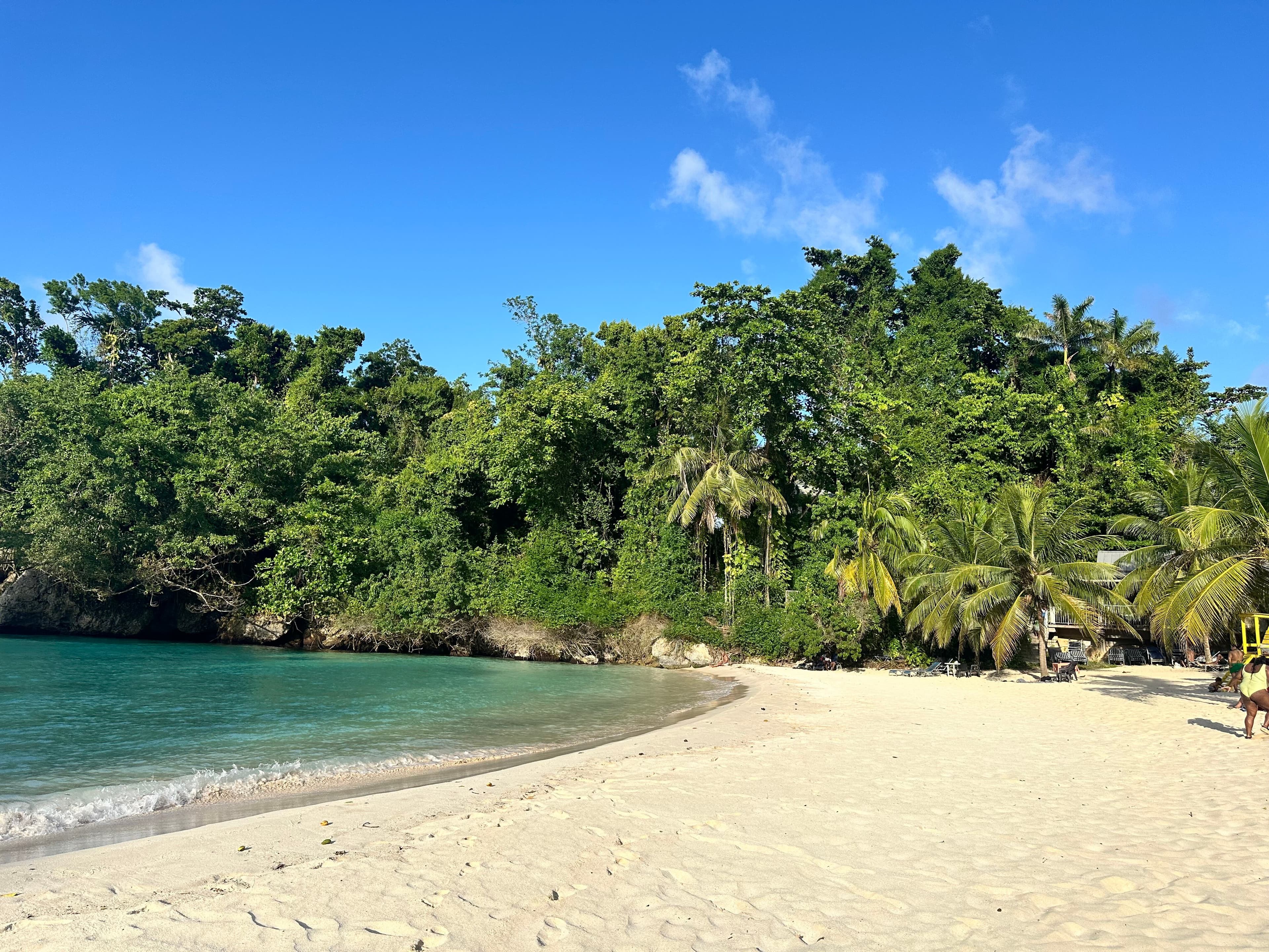 Travel Jamaica Tours at TripAdvisor