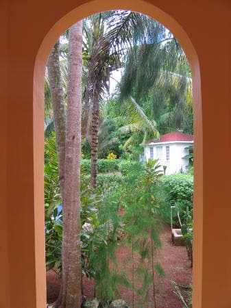 Looking out from the verandah