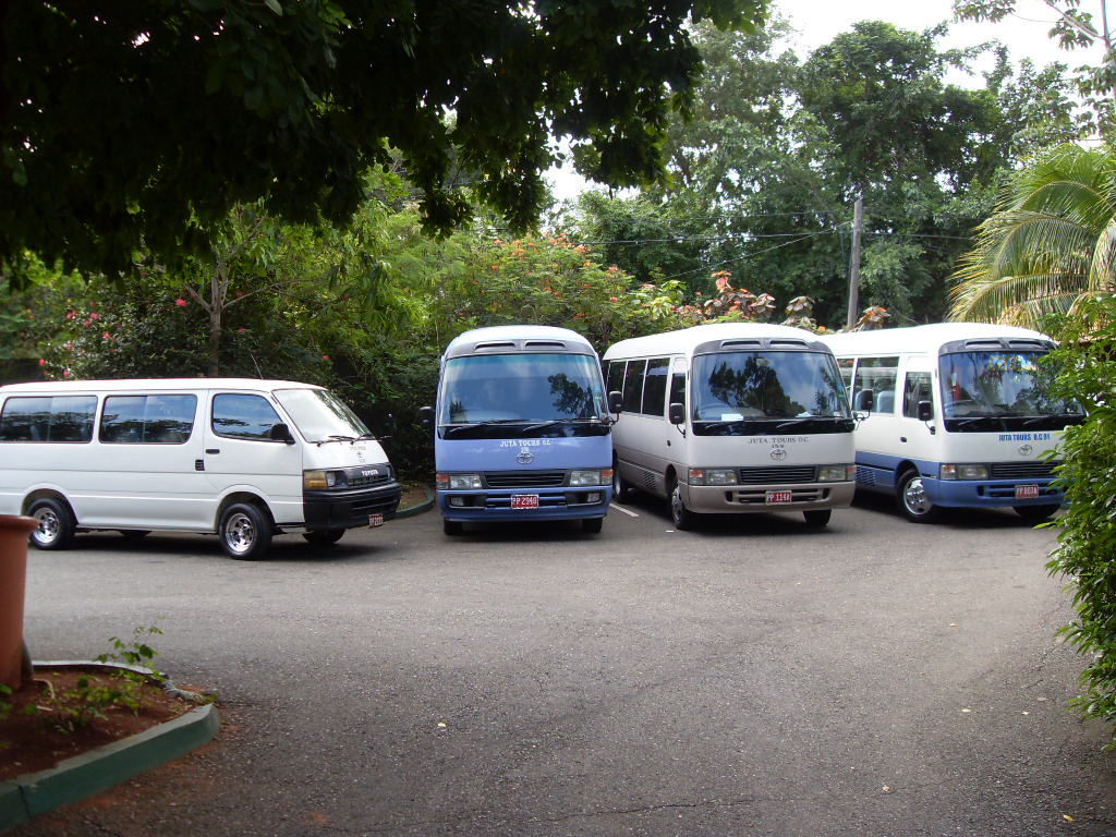 Solid Gold buses