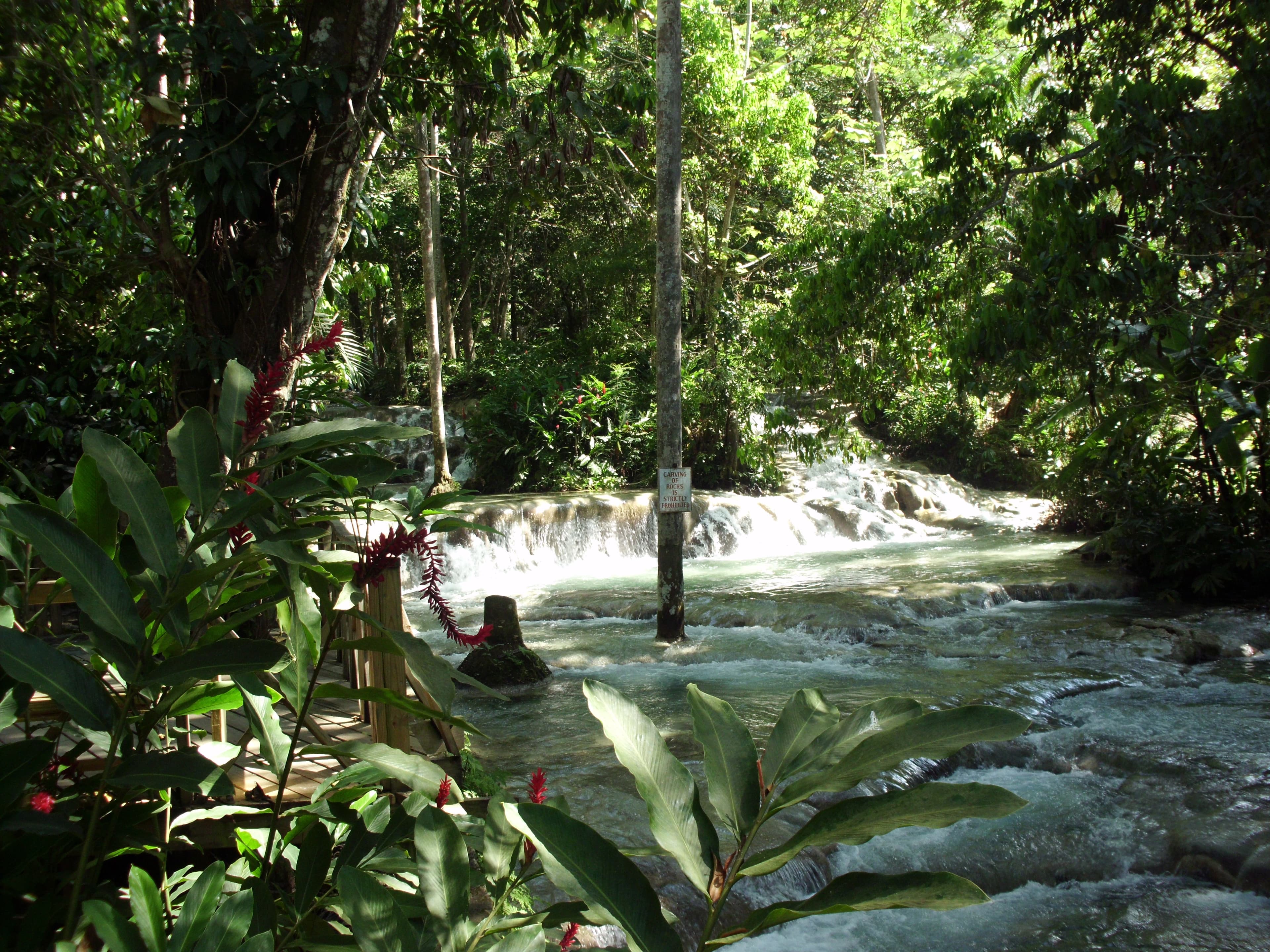 Dunn's River Falls