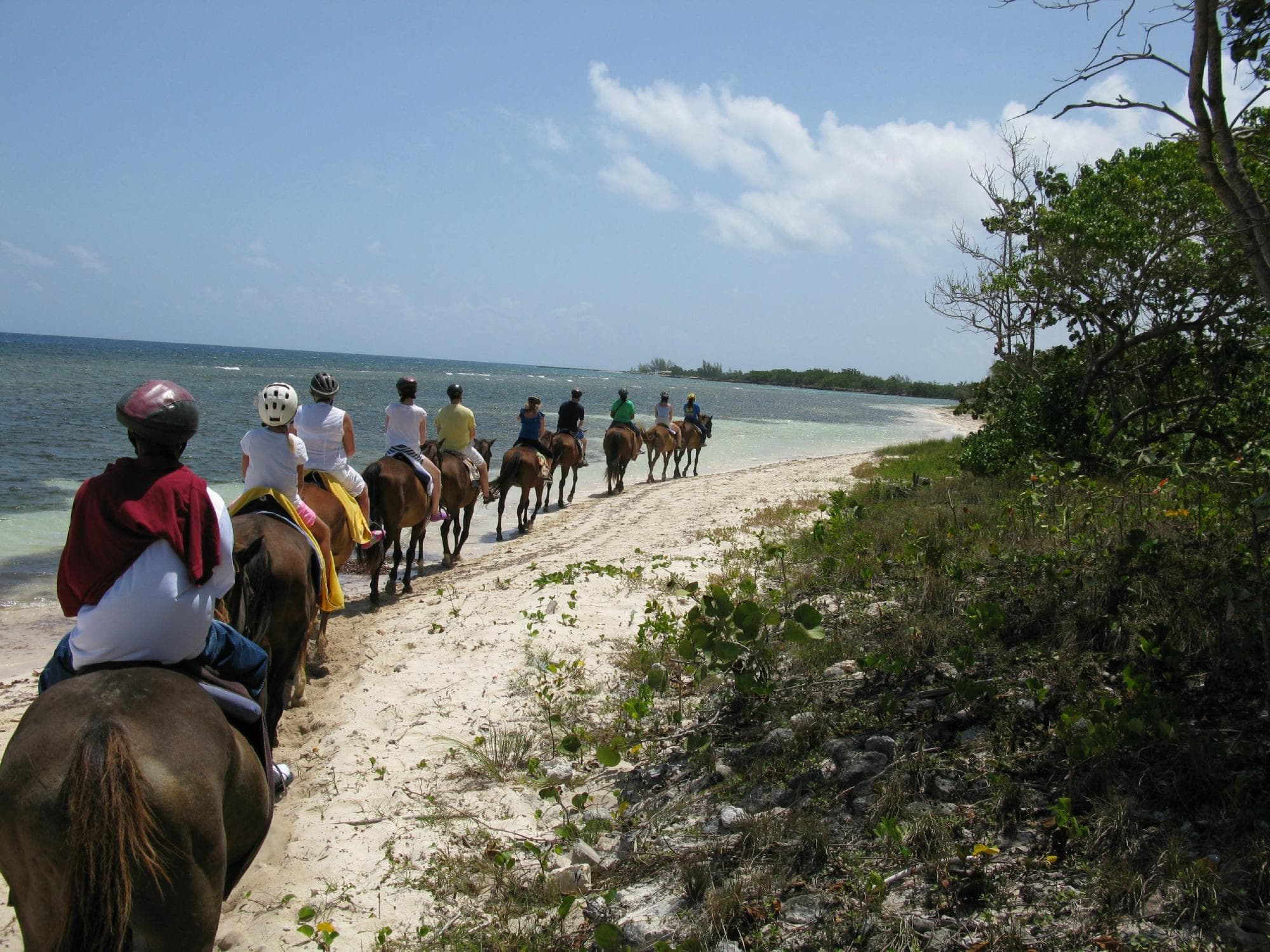 Strolling along the beach