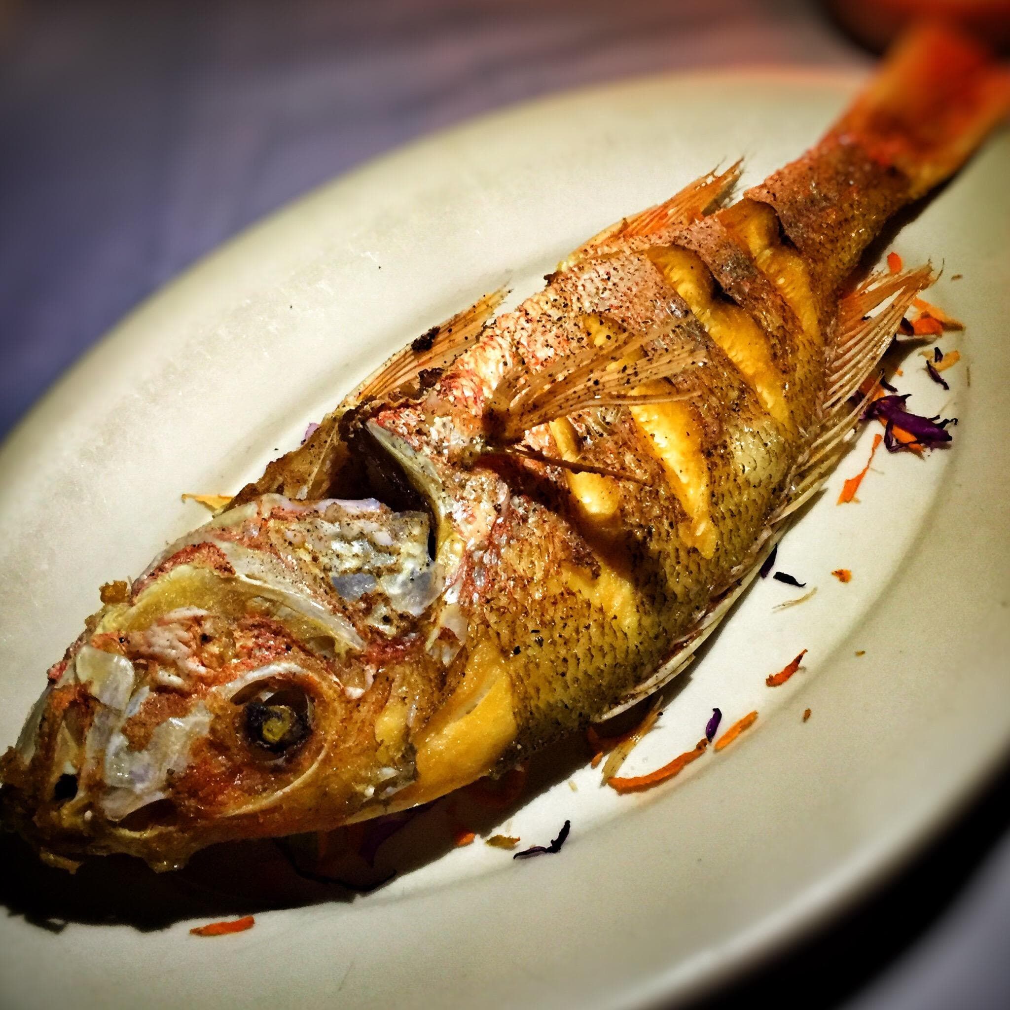 South Avenue Grill at TripAdvisor