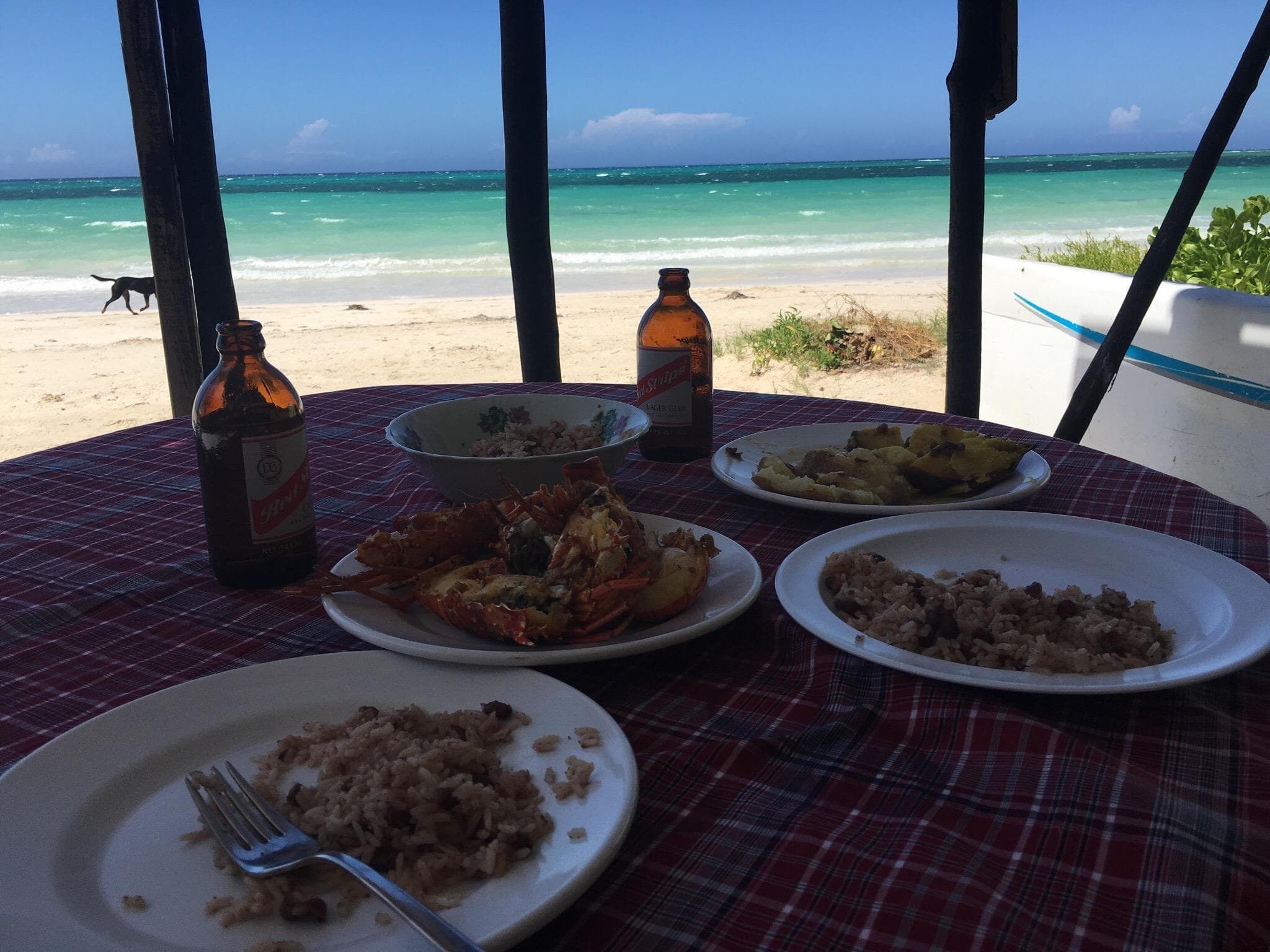 Beautiful lunch at Leon's!