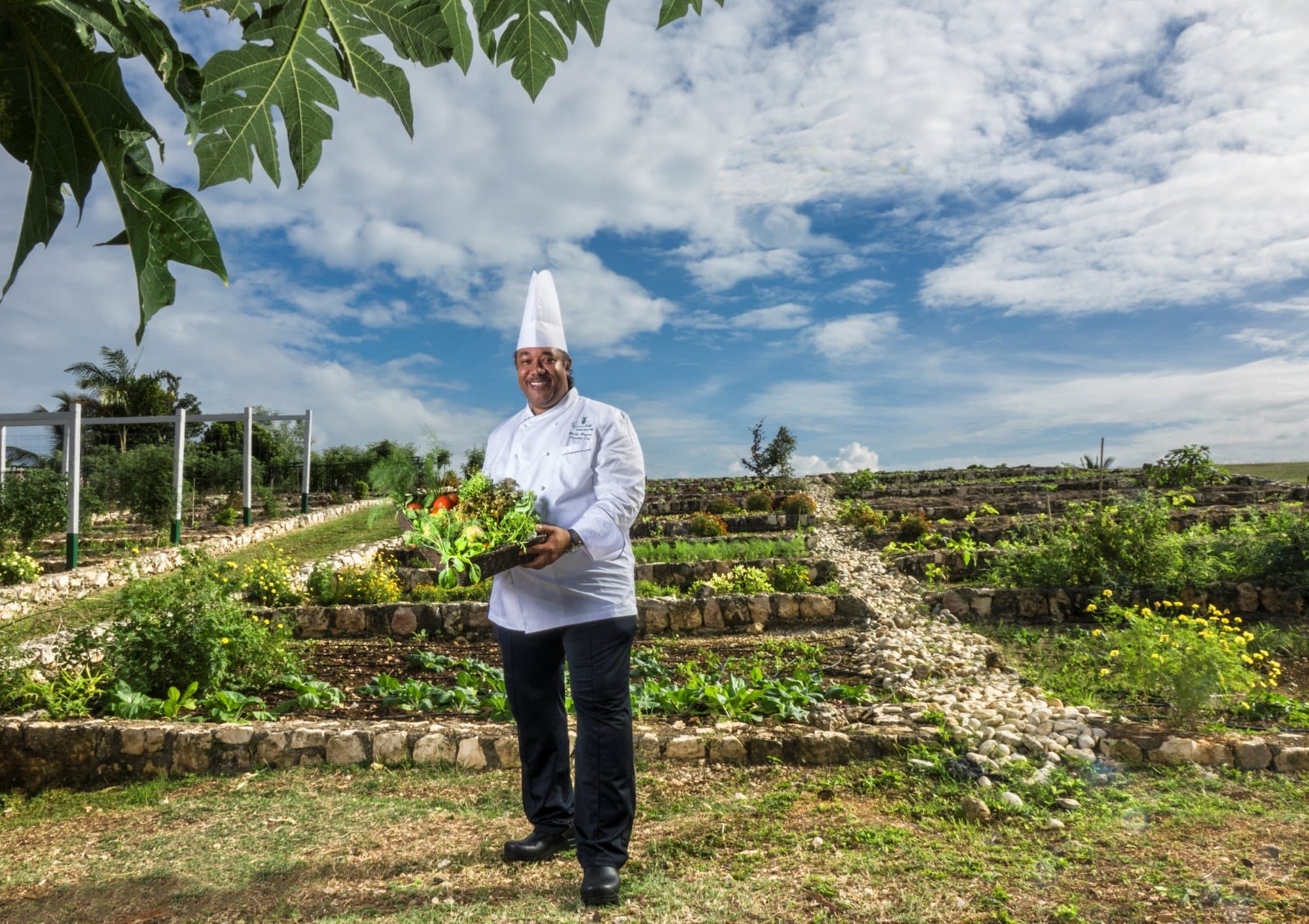 Round Hill Dining at TripAdvisor