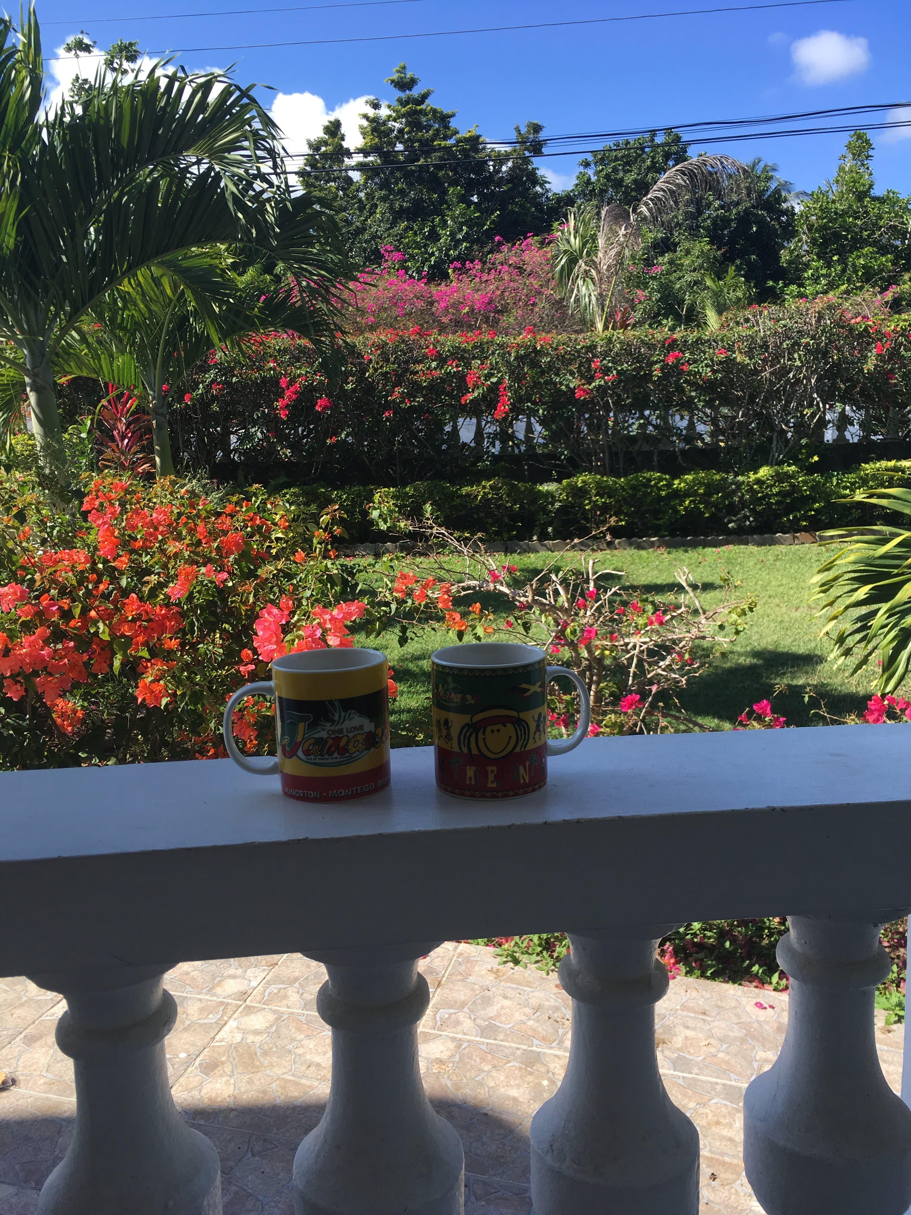 🇯🇲Jamaican coffee for two.