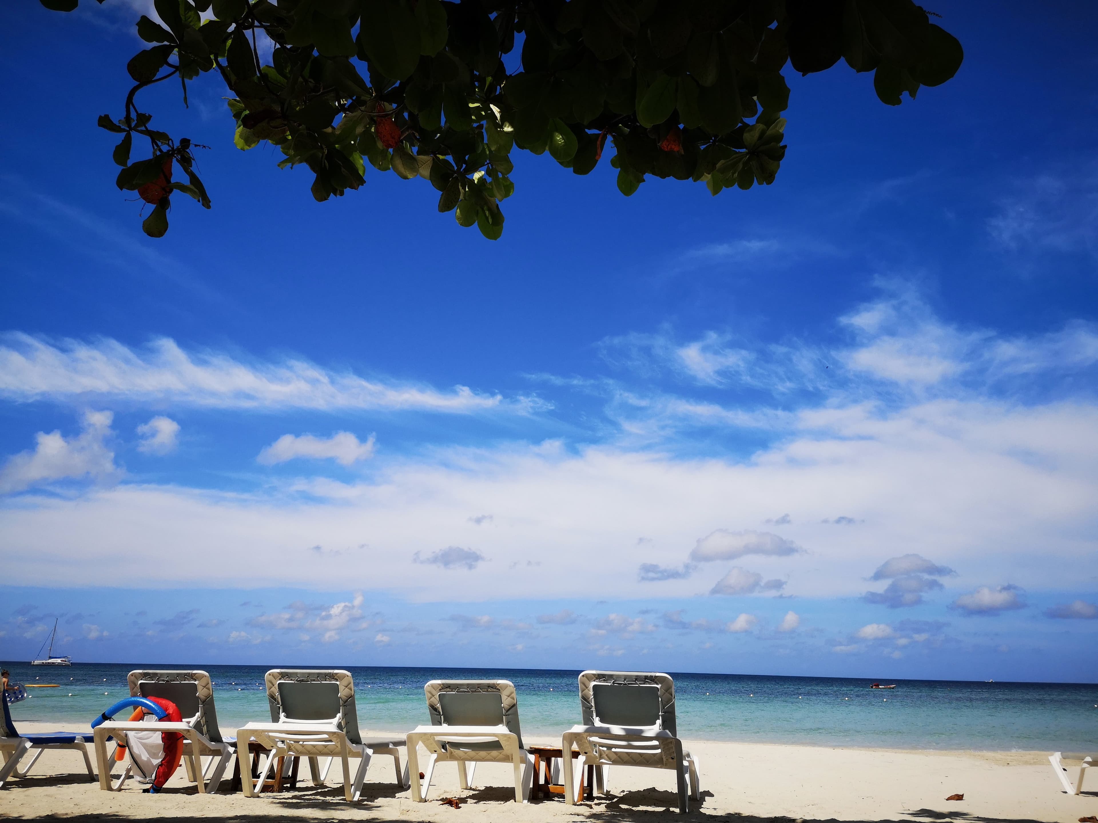 Cocolapalm at TripAdvisor