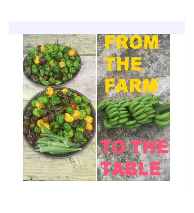 Fruits, veggies, and herbs grown on site and picked fresh for you.